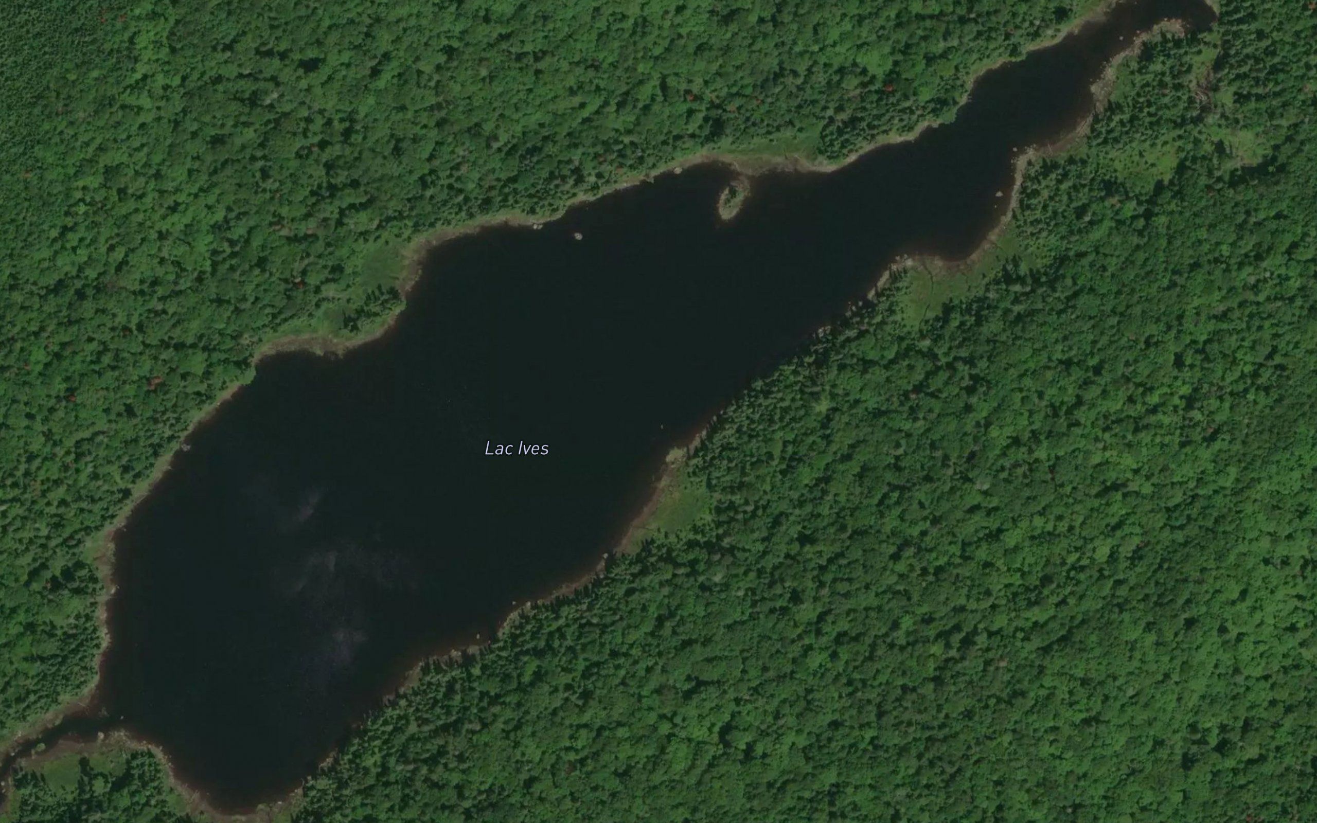Lac Ives