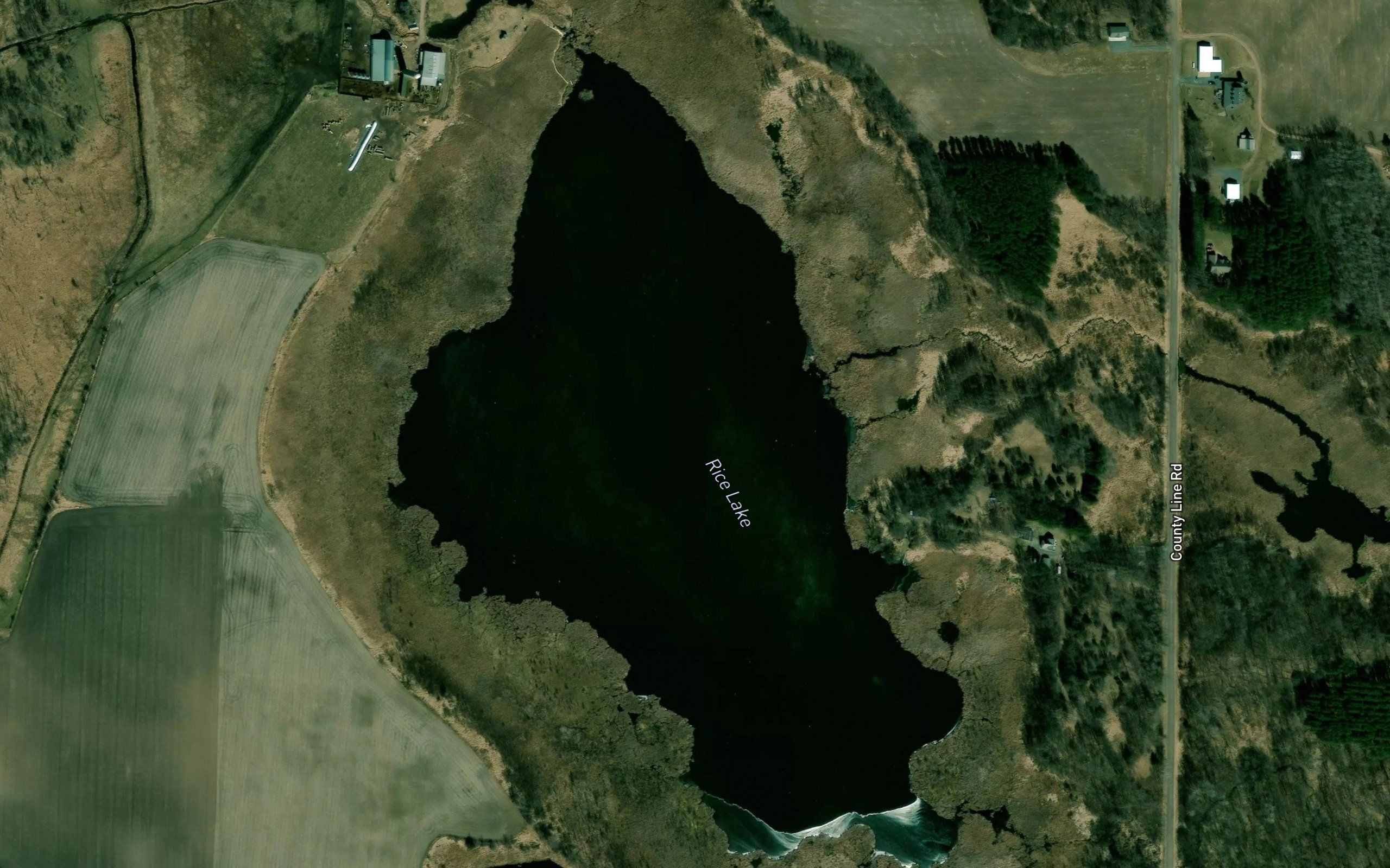 Rice Lake