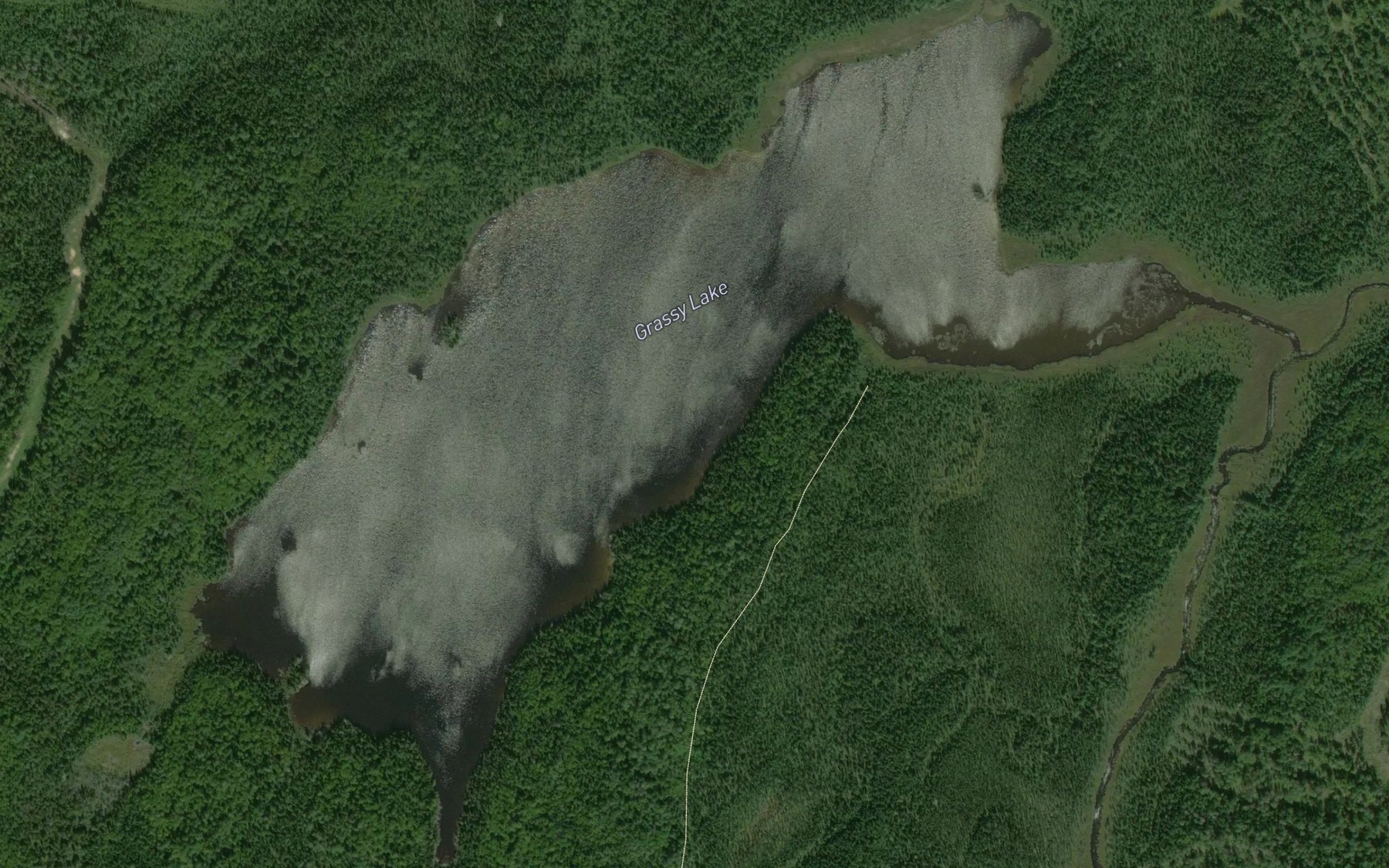 Satellite map of the Grassy Lake