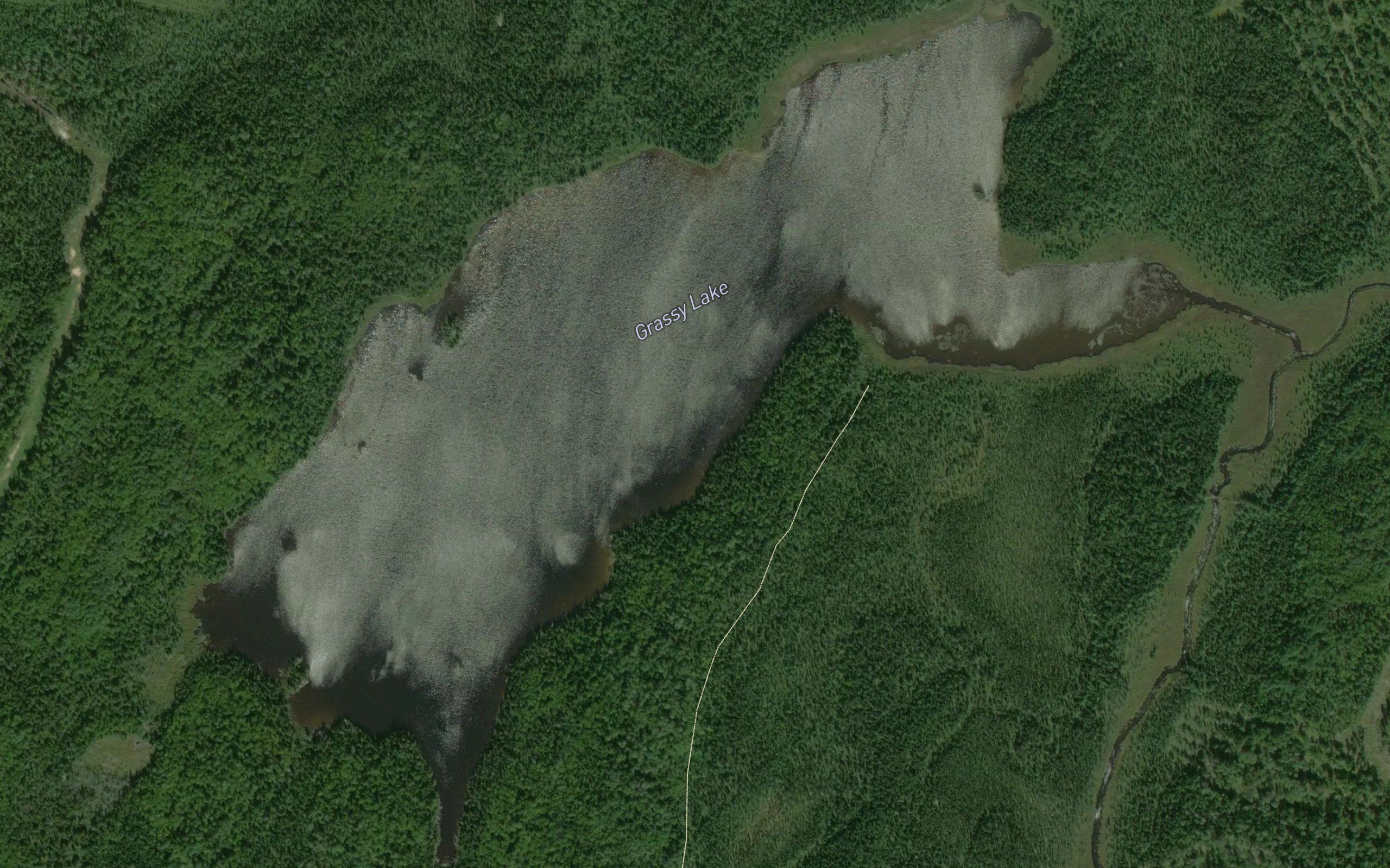 Grassy Lake