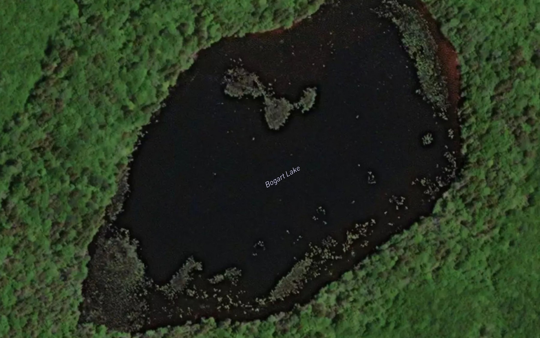 Satellite map of the Bogart Lake