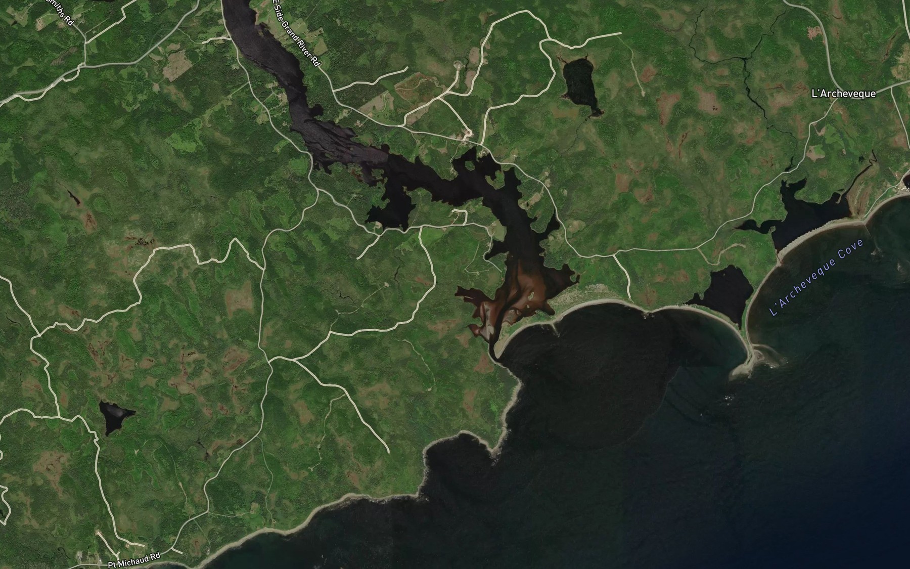 Satellite map of the Grand River