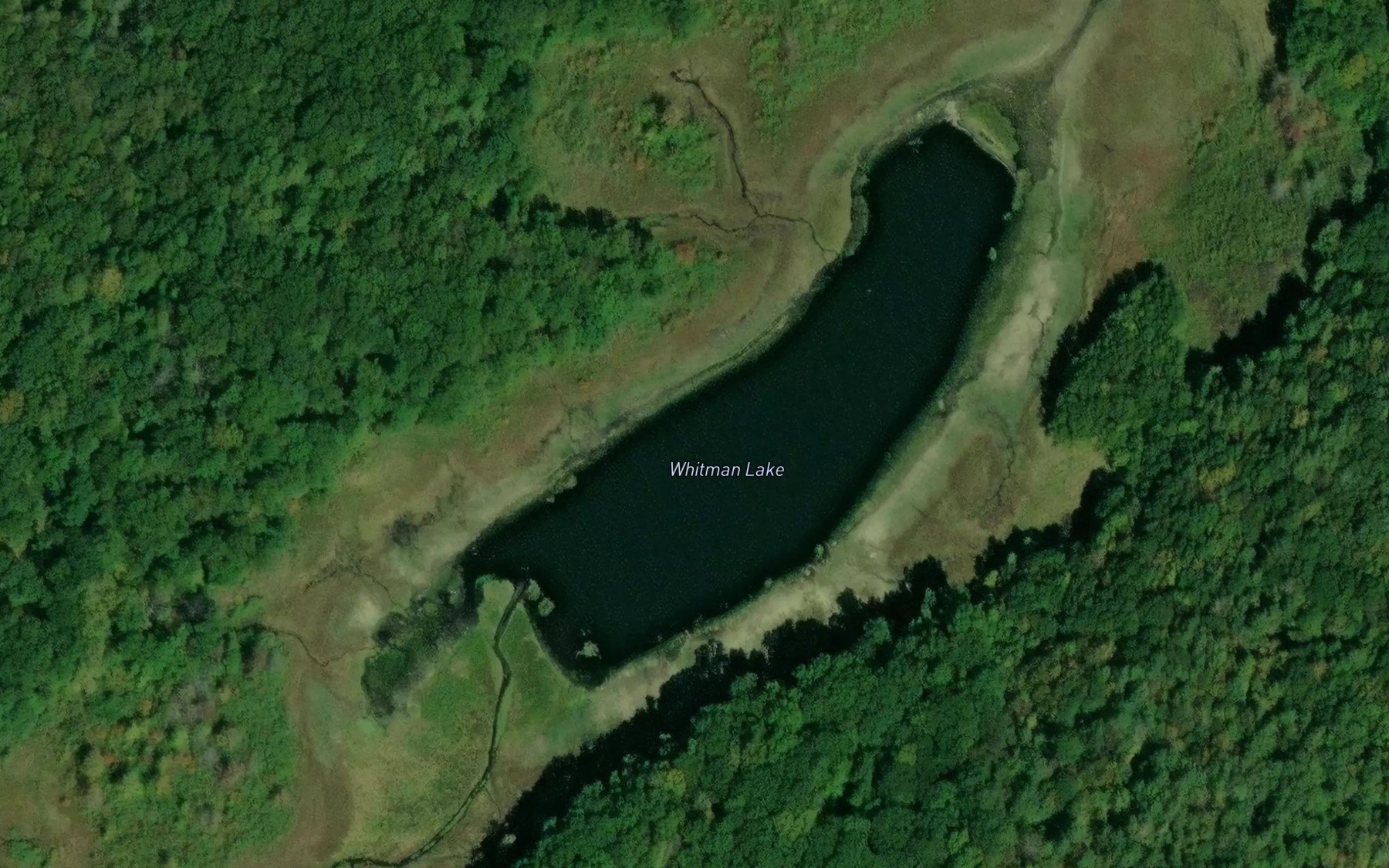 Satellite map of the Whitman Lake