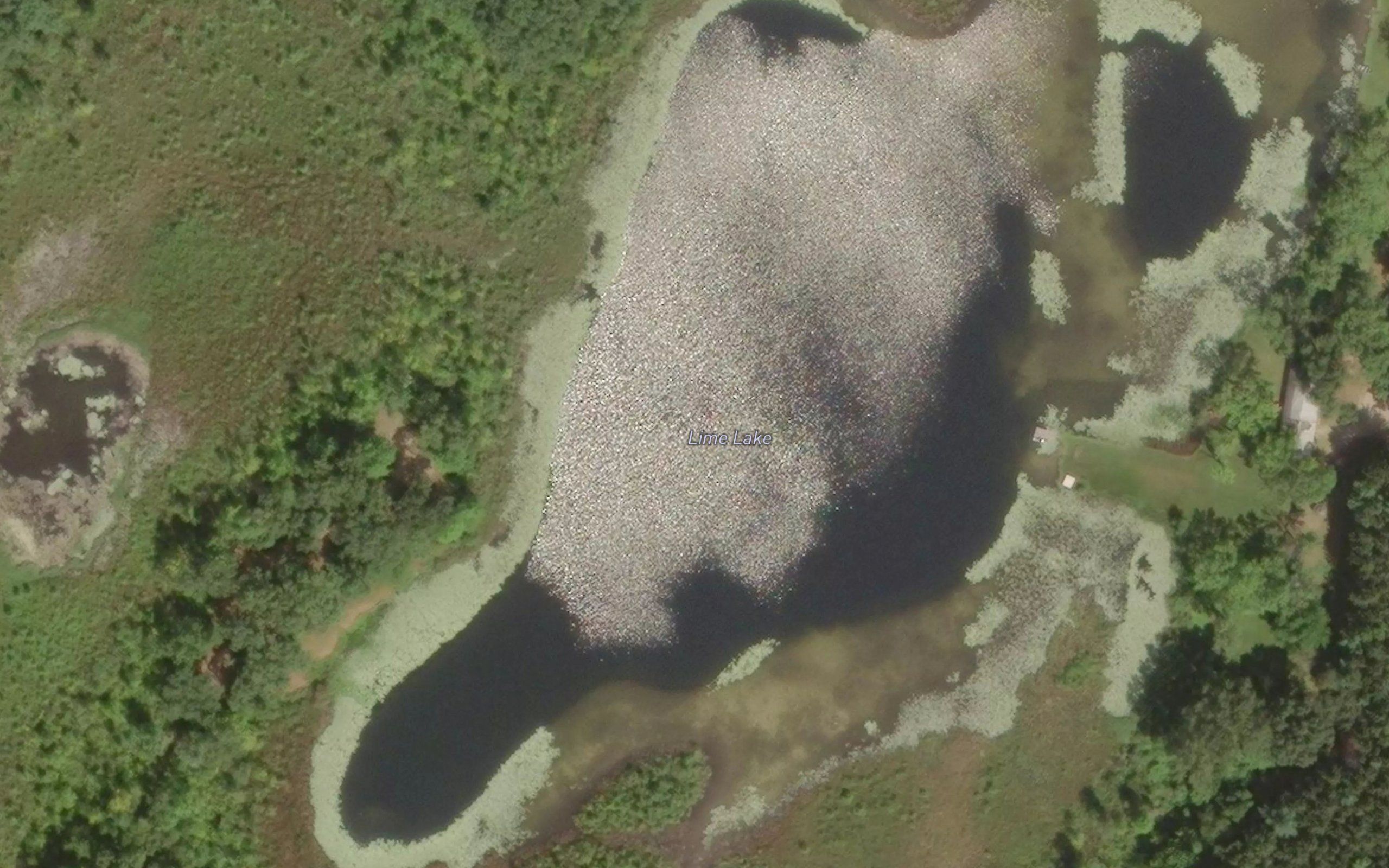 Lime Lake