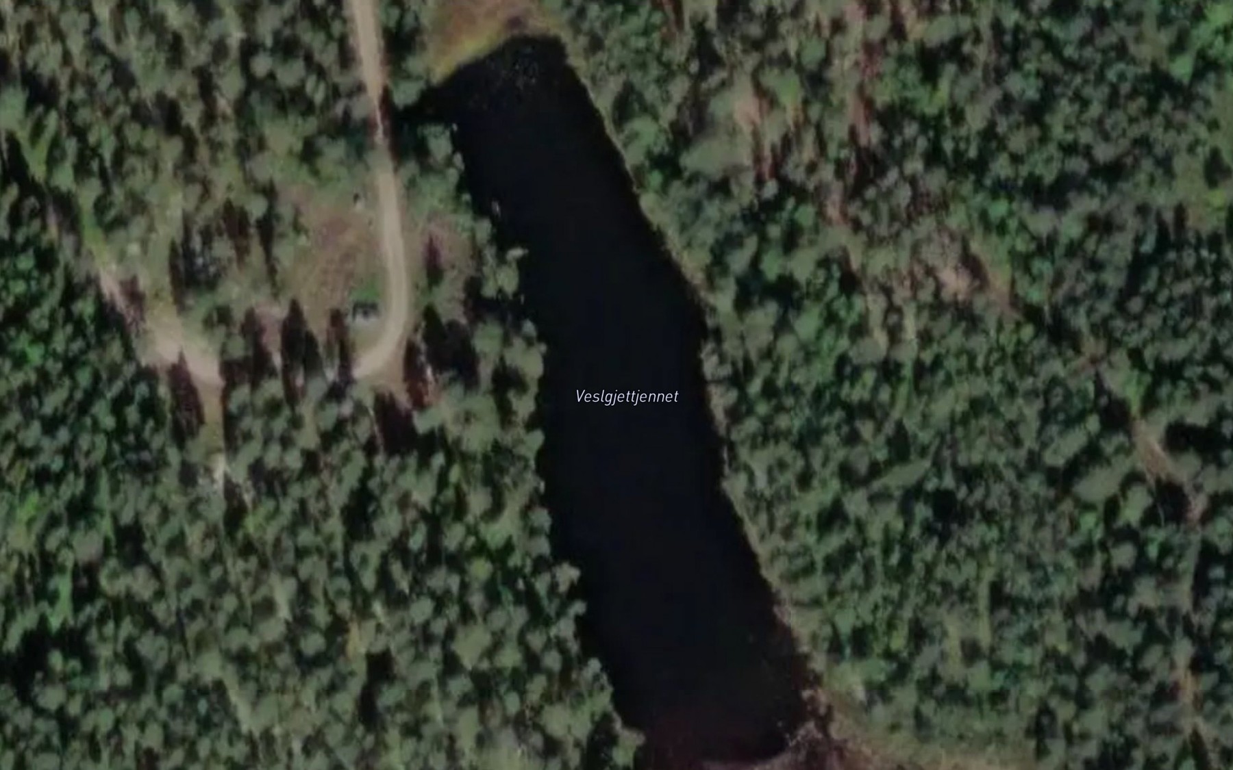 Satellite map of the Veslgjettjernet
