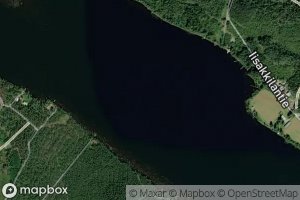 Satellite map of the Paanaslahti