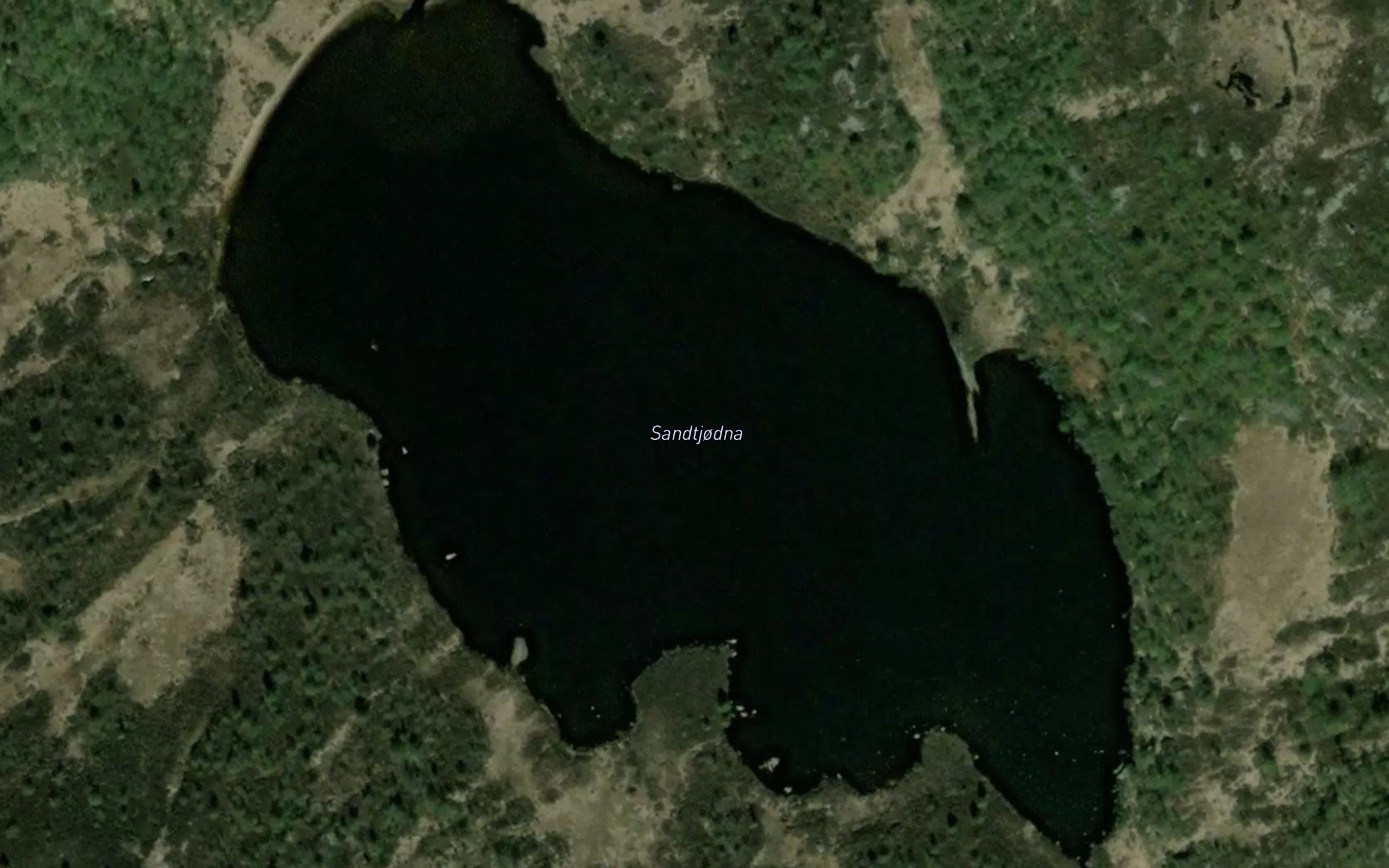 Sandtjorn