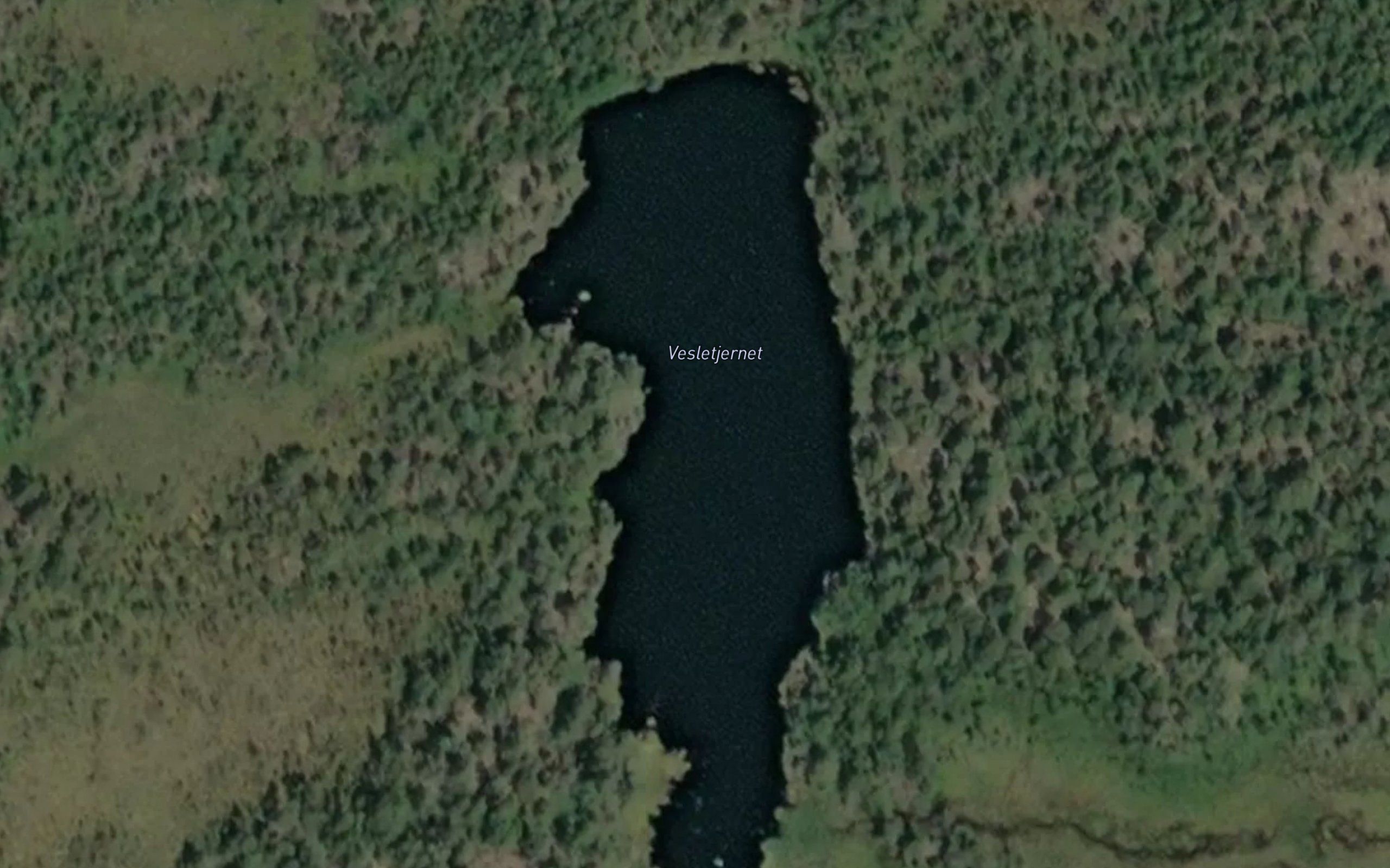 Vesletjernet