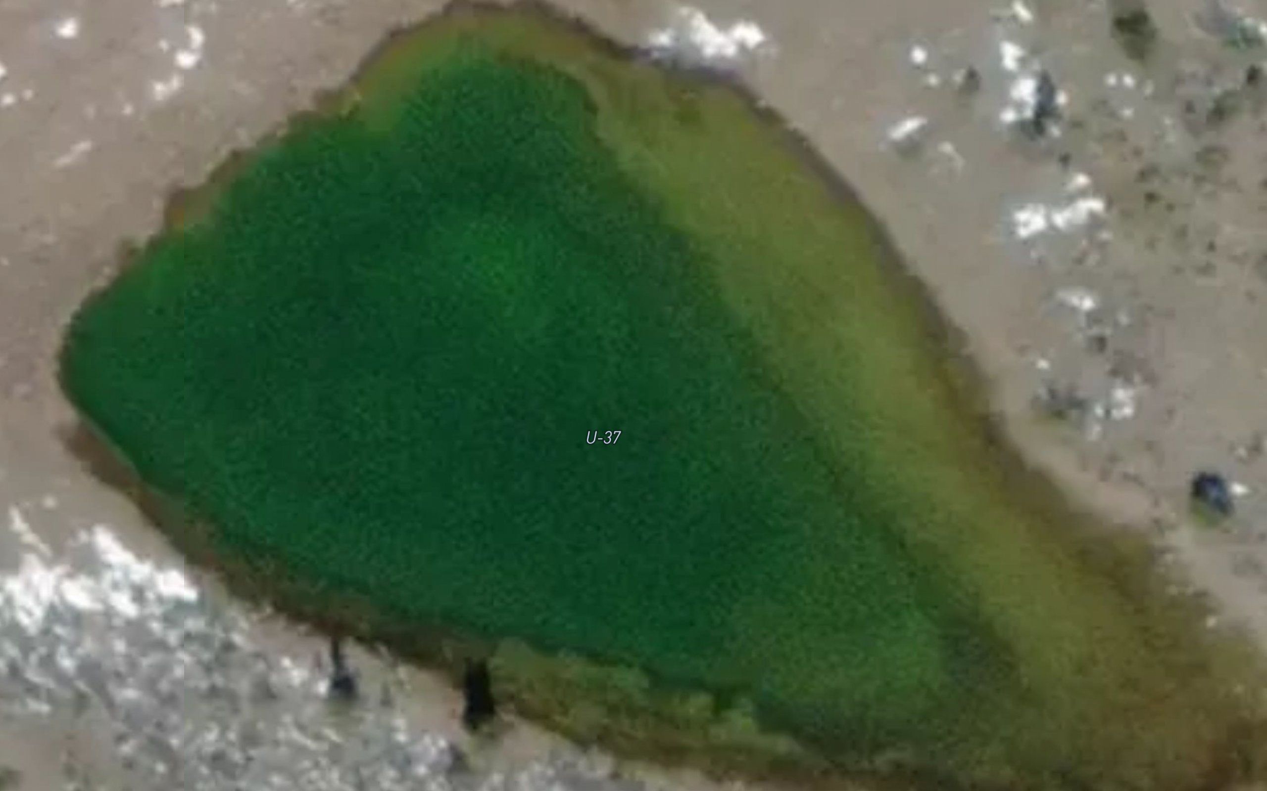 Wilderness Lake