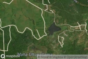 Kuda Ottupallam Wewa