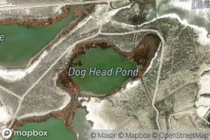 Dog Head Pond