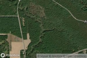 Shamrock Creek
