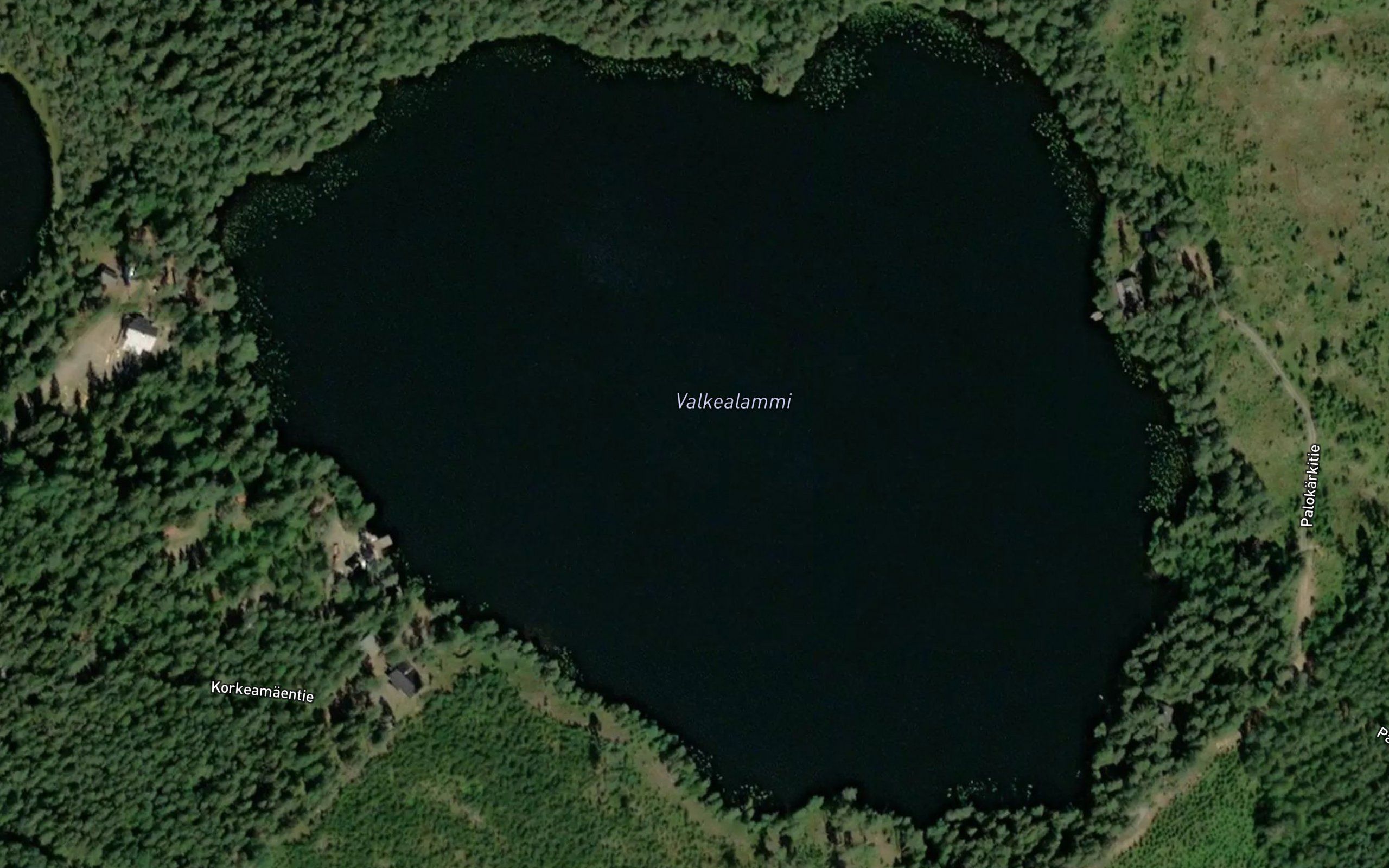 Valkealammi
