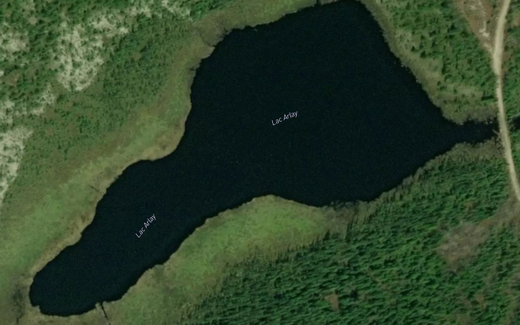 Satellite map of the Lac Arlay