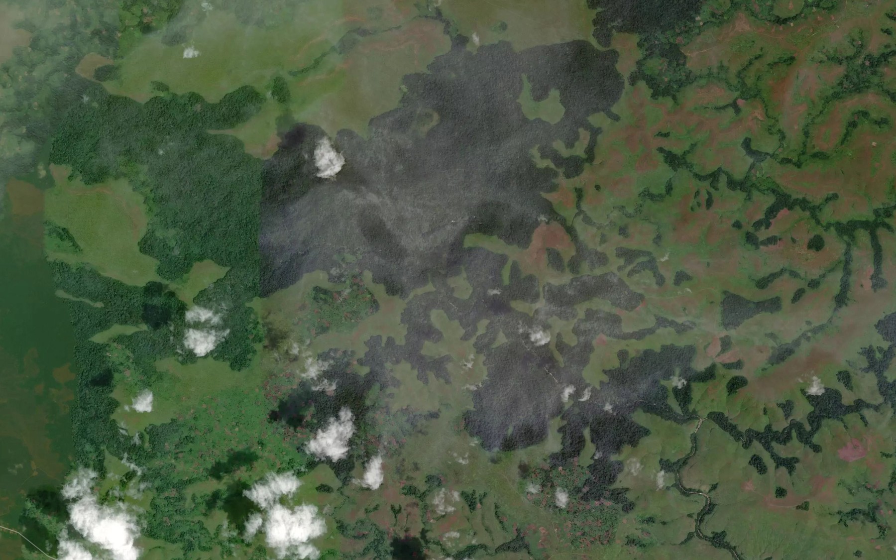 Satellite map of the Mankasa Tongo