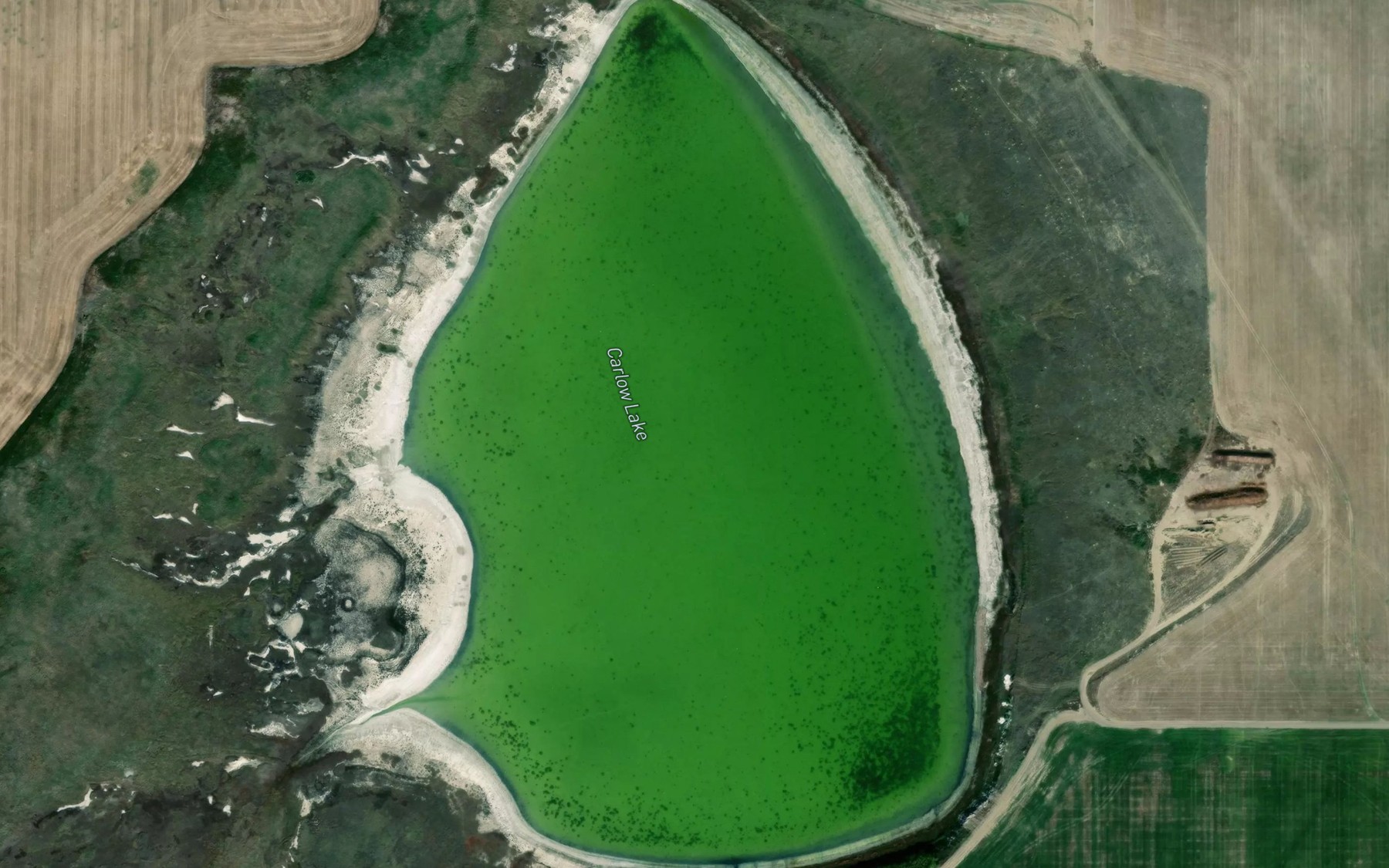 Satellite map of the Carlow Lake