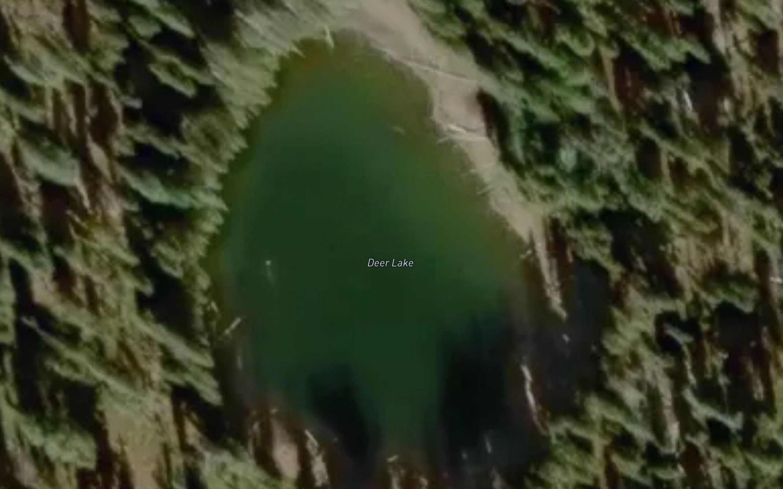 Deer Lake
