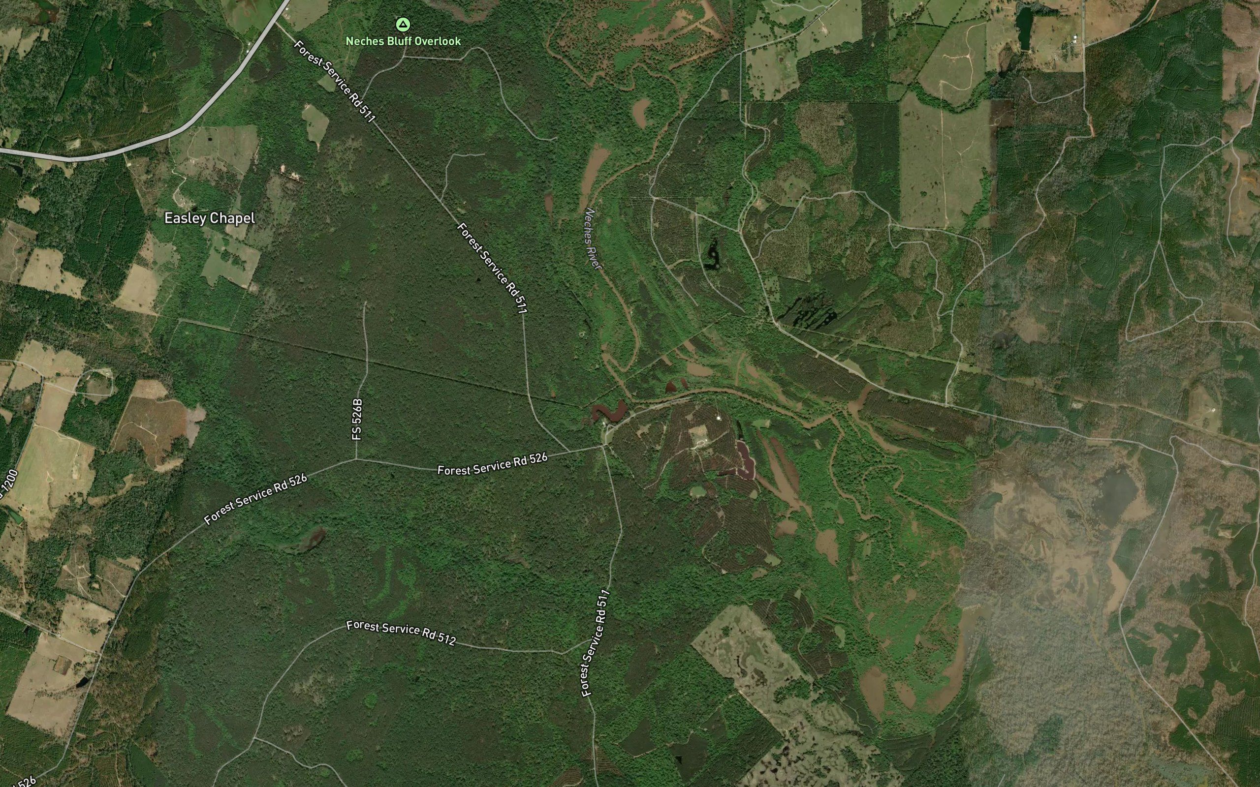 Bluff Creek