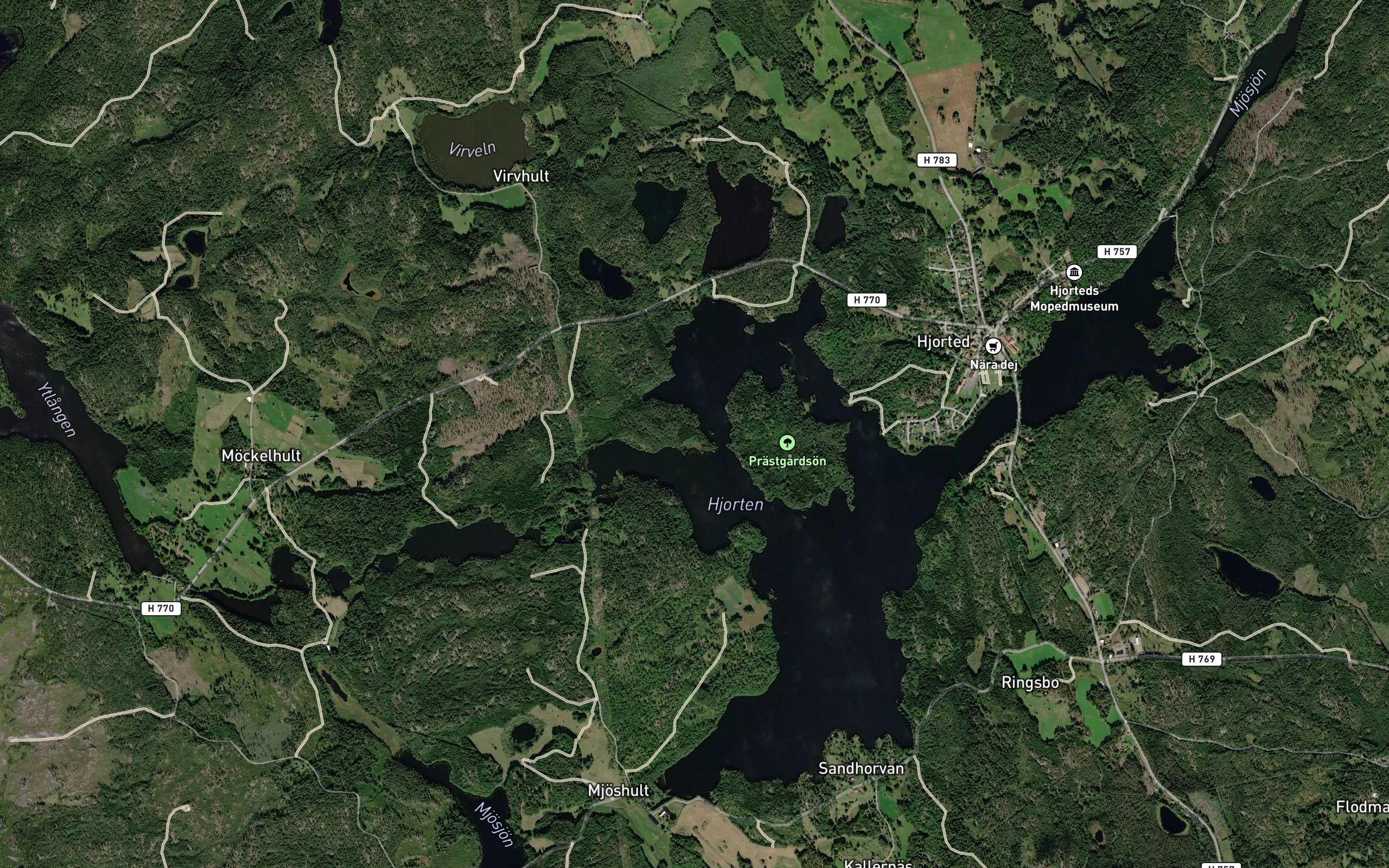 Hjorten