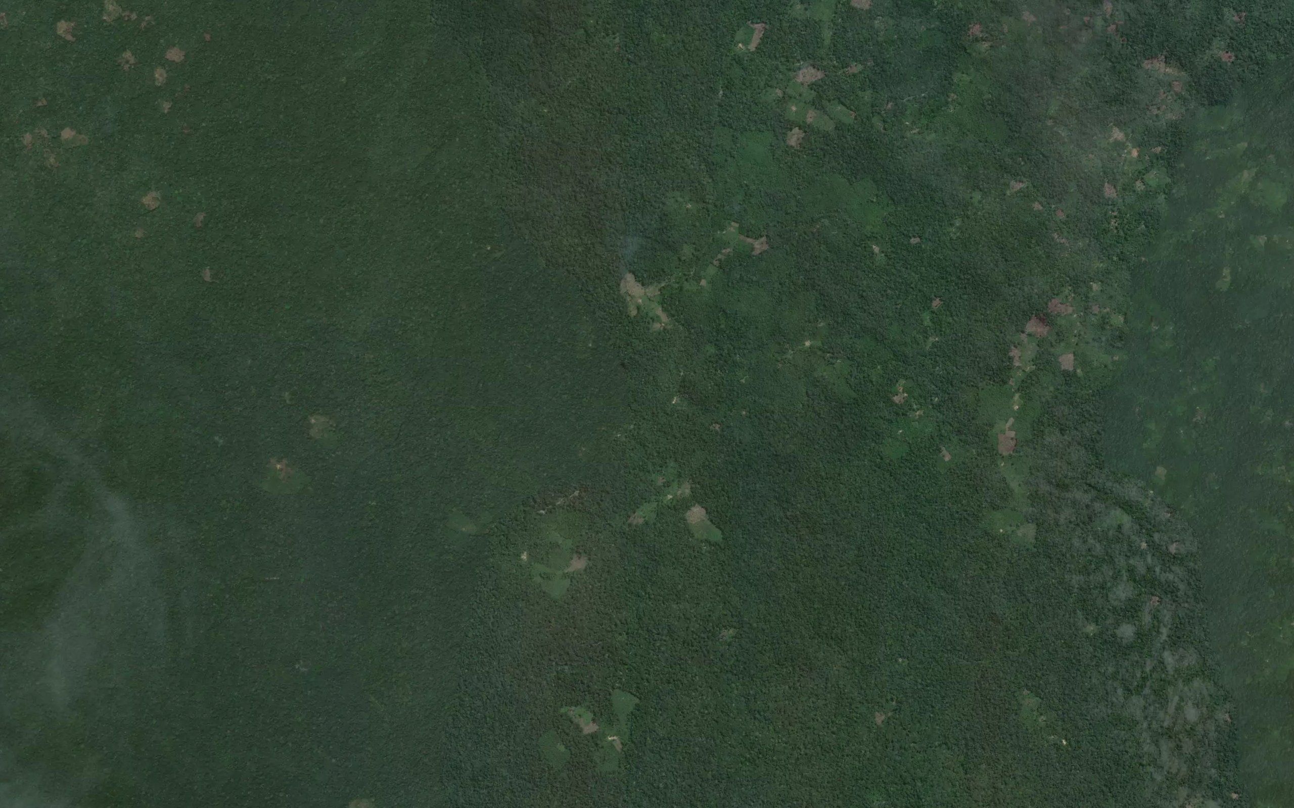 Mupubo