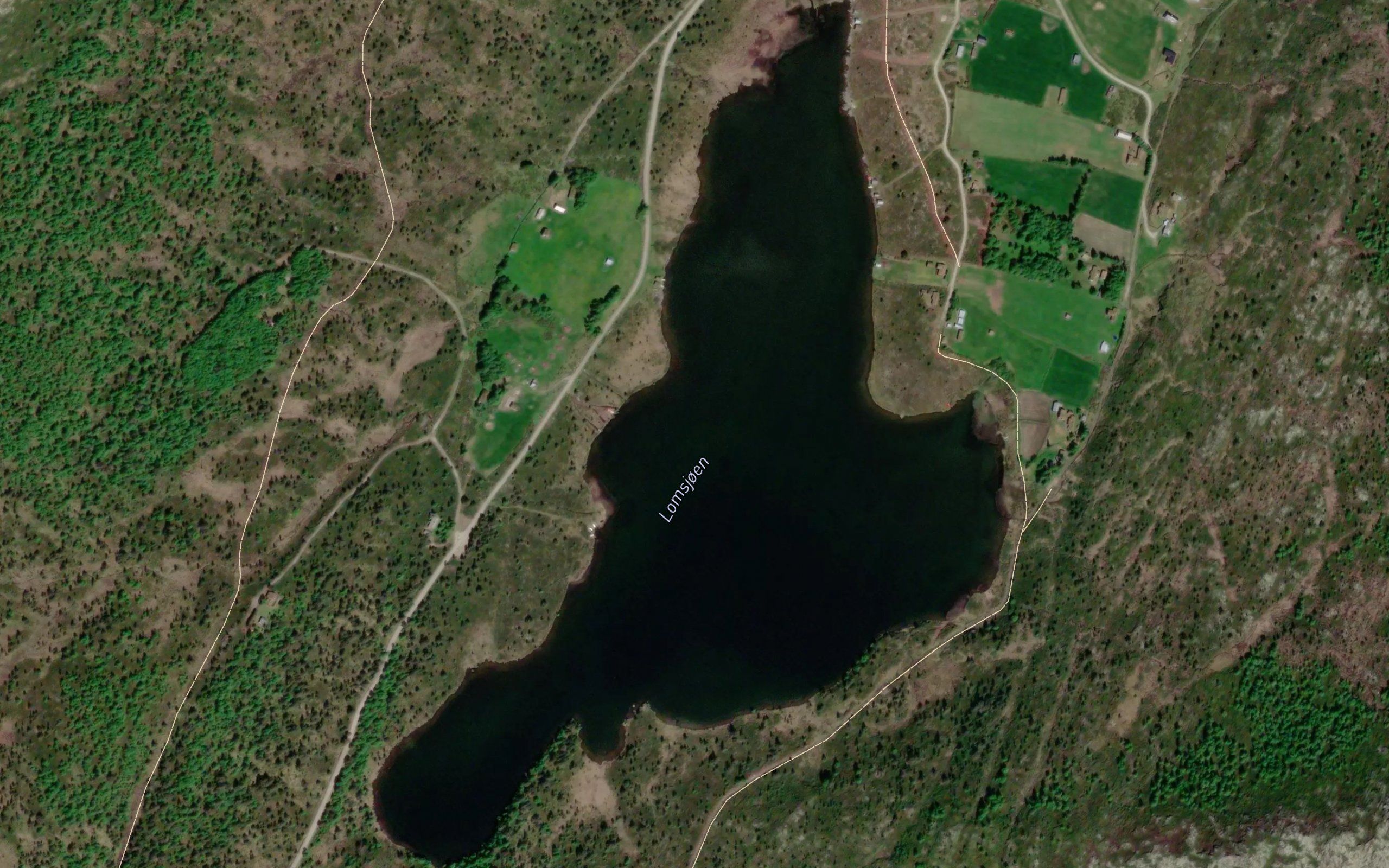 Lomsjoen