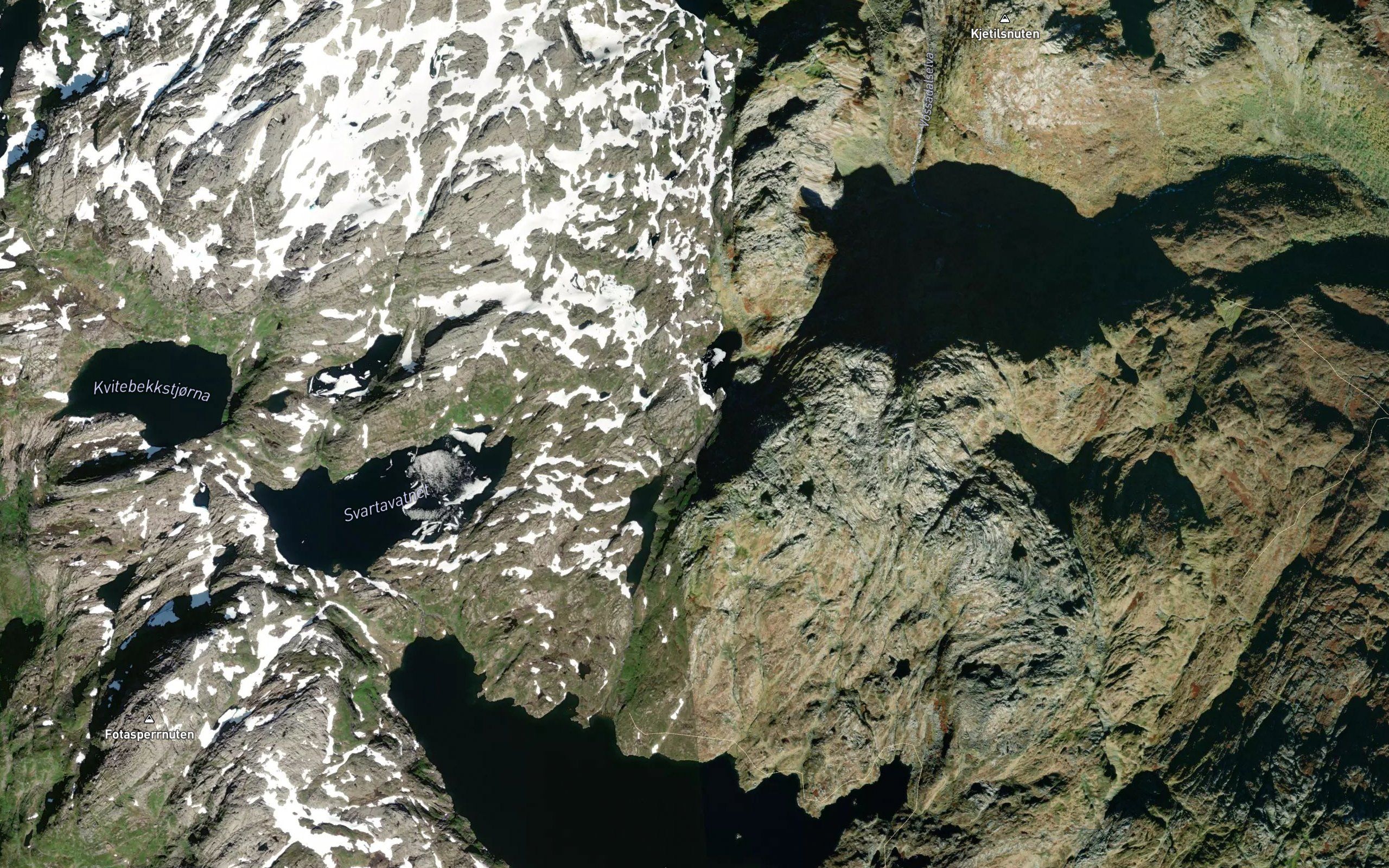 Fugladalstjornane