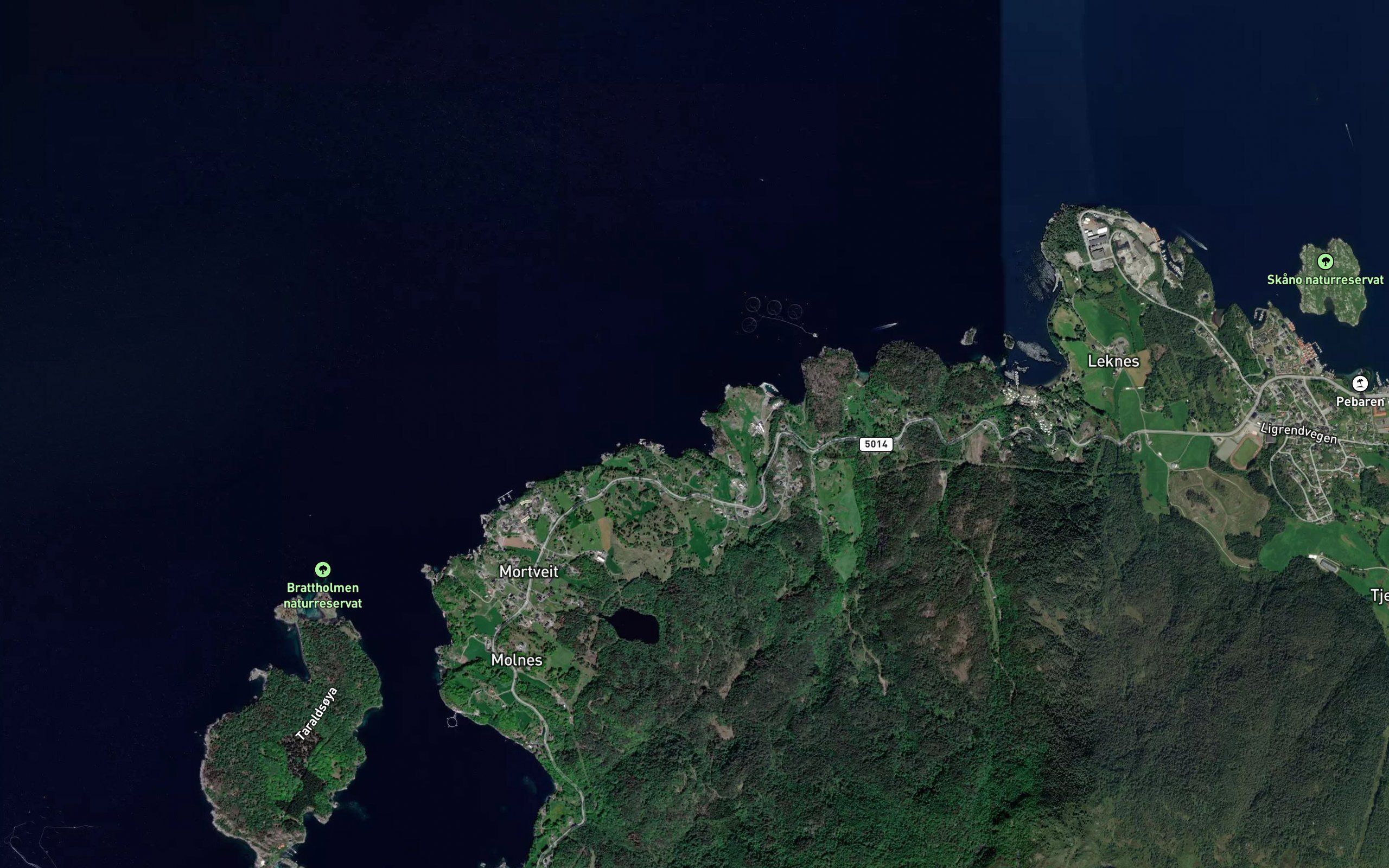 Skogavik