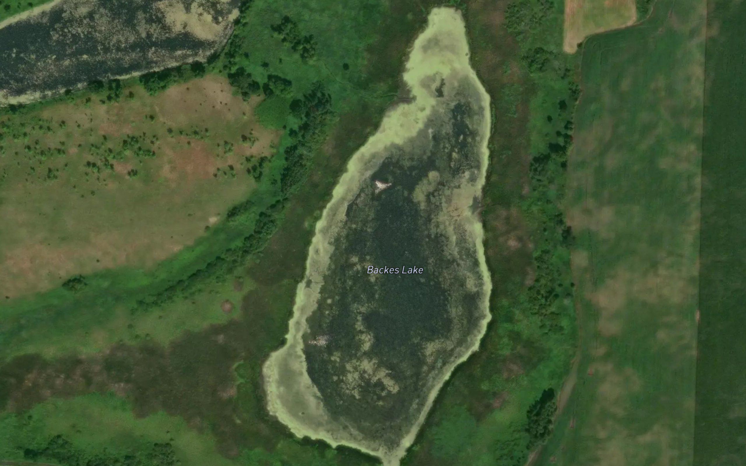 Backes Lake