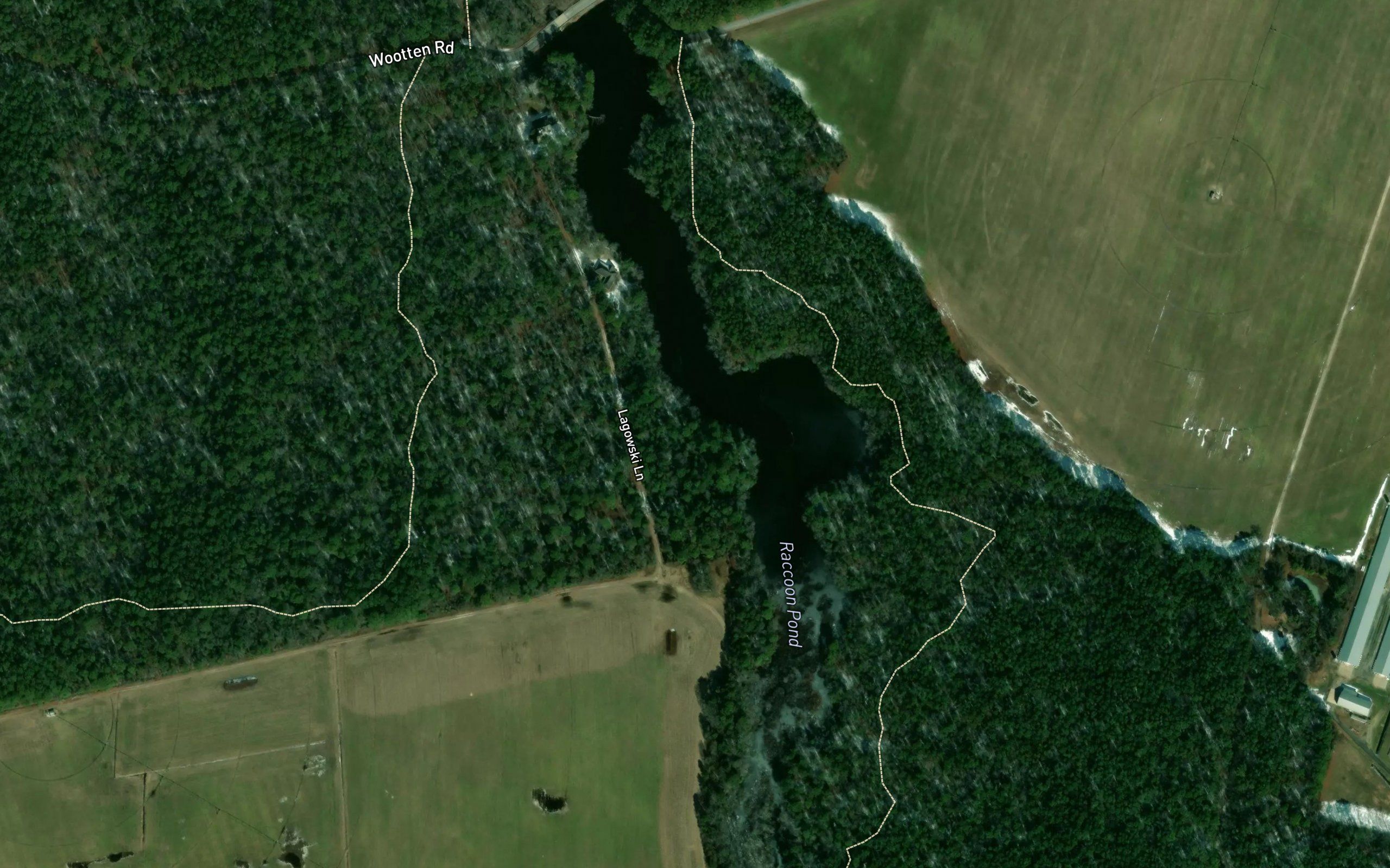 Raccoon Pond