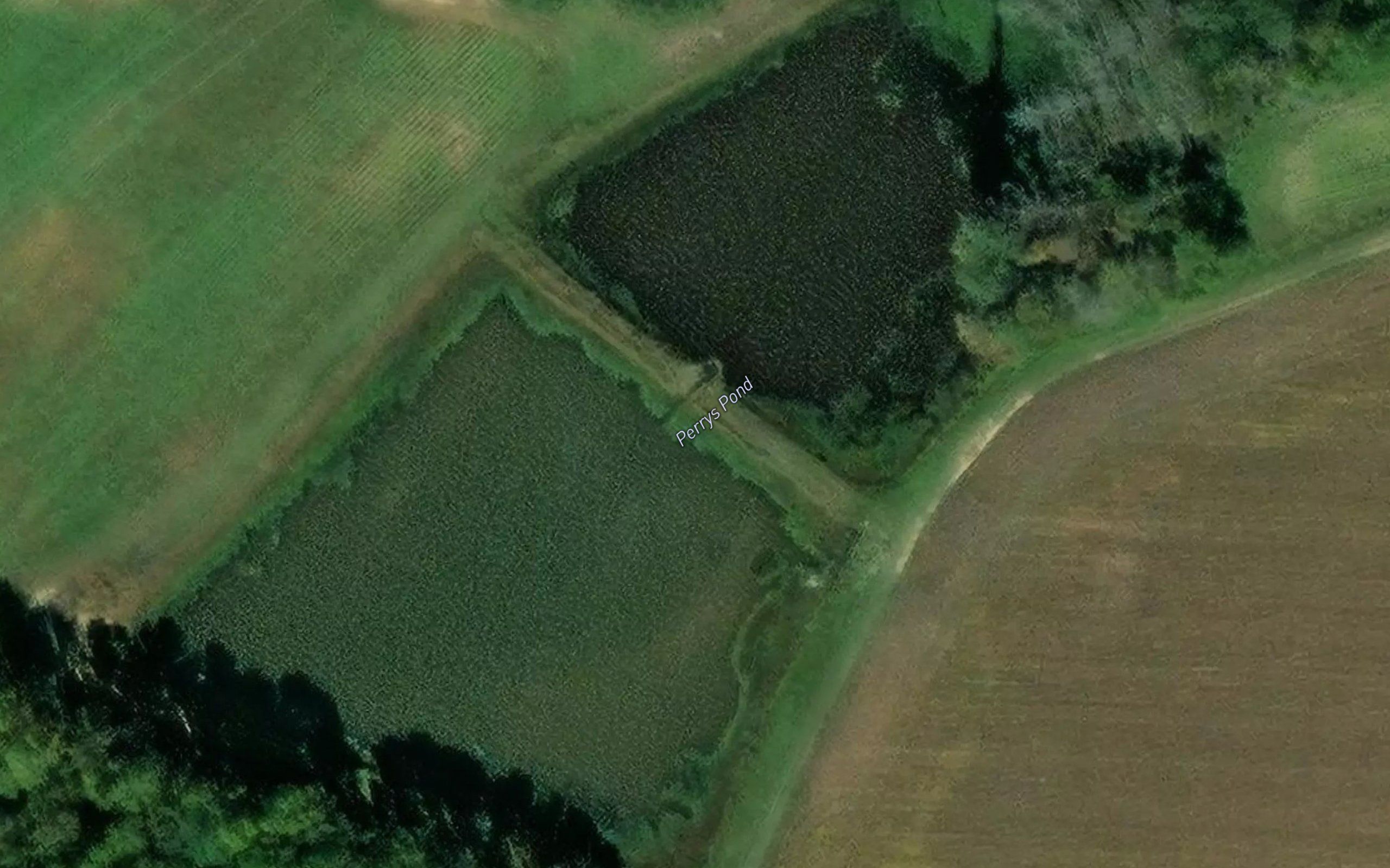 Perrys Pond