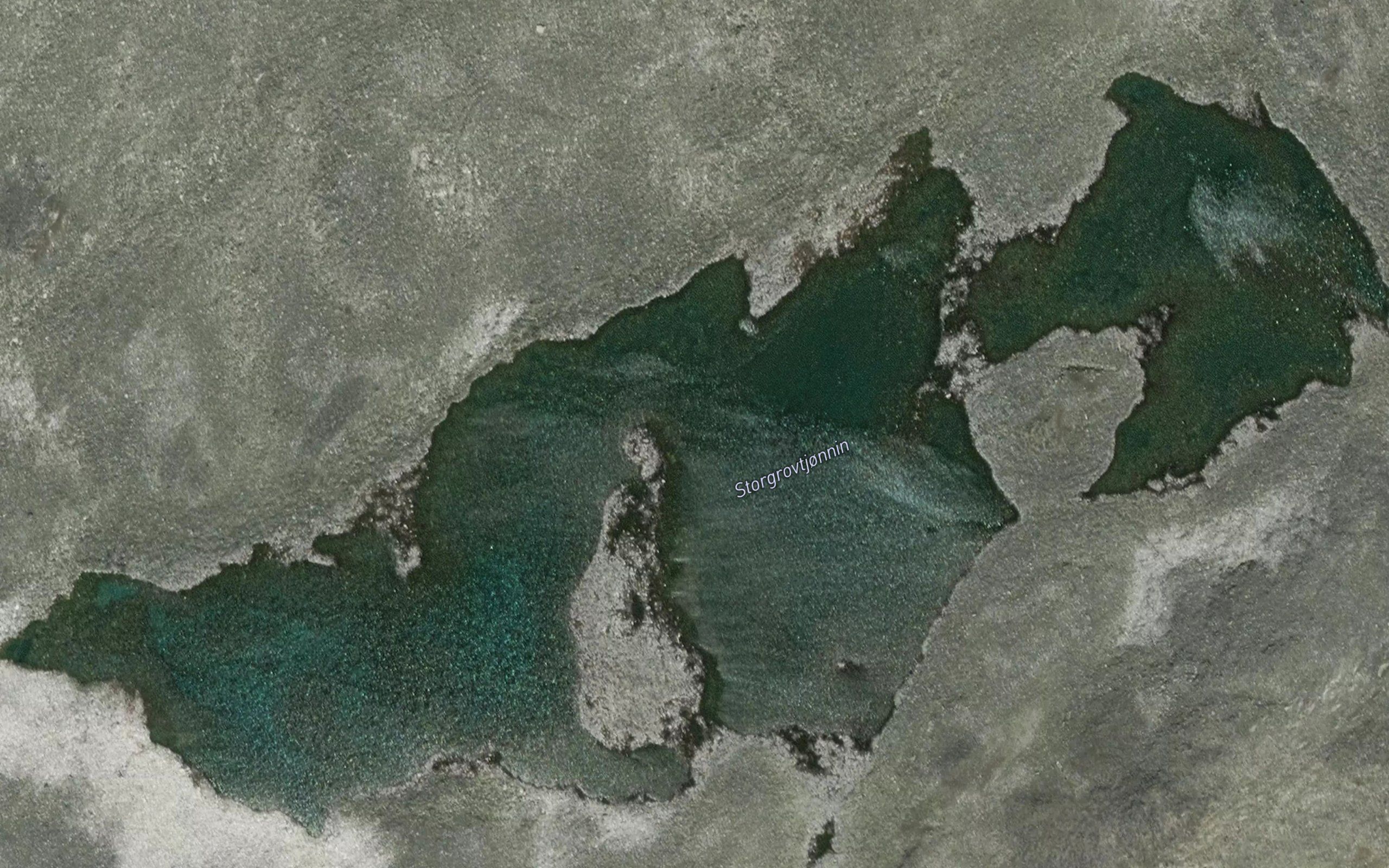 Gronstorrgrovtjorni
