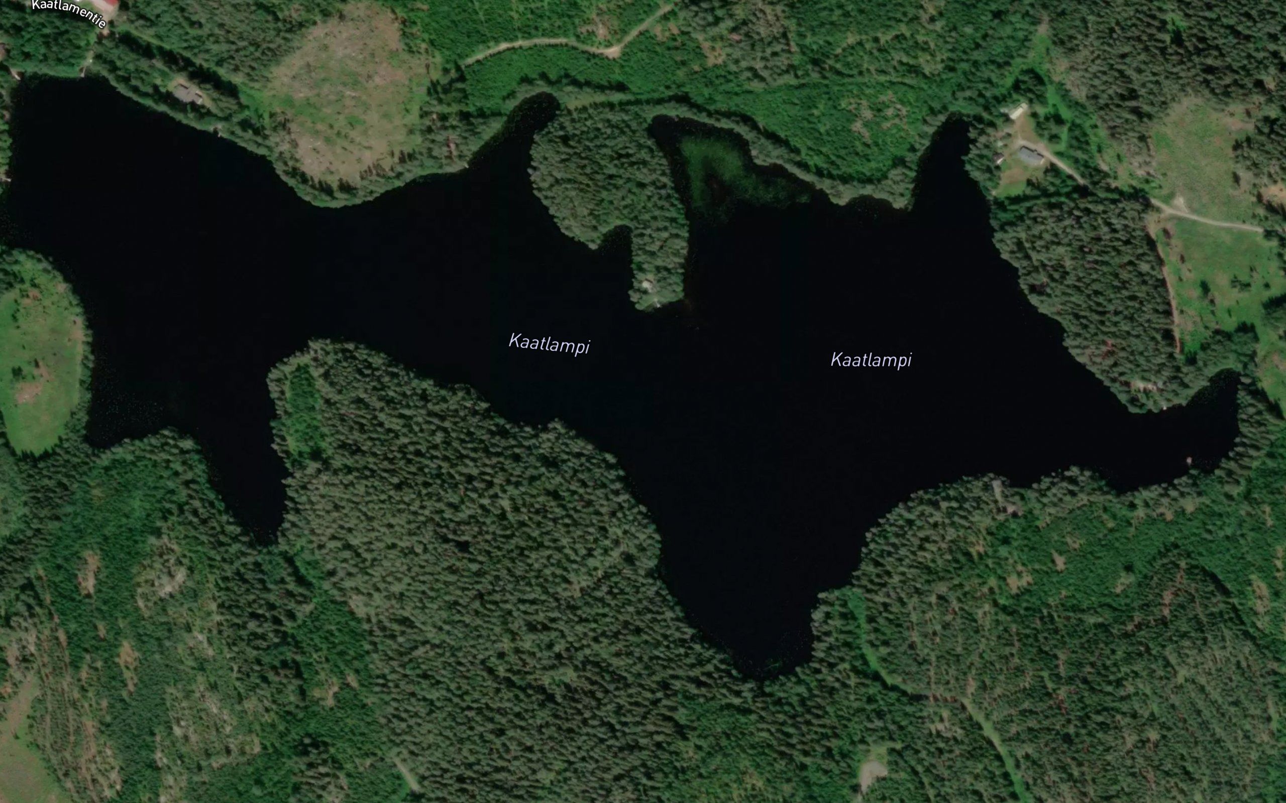 Kaatlampi