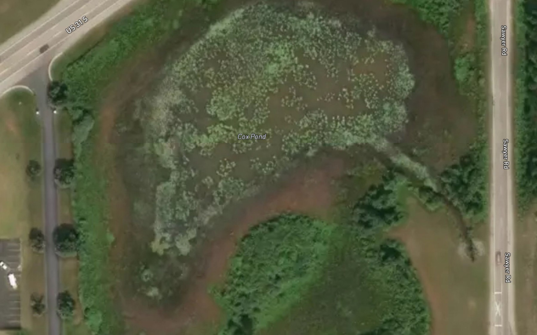Satellite map of the Cox Pond