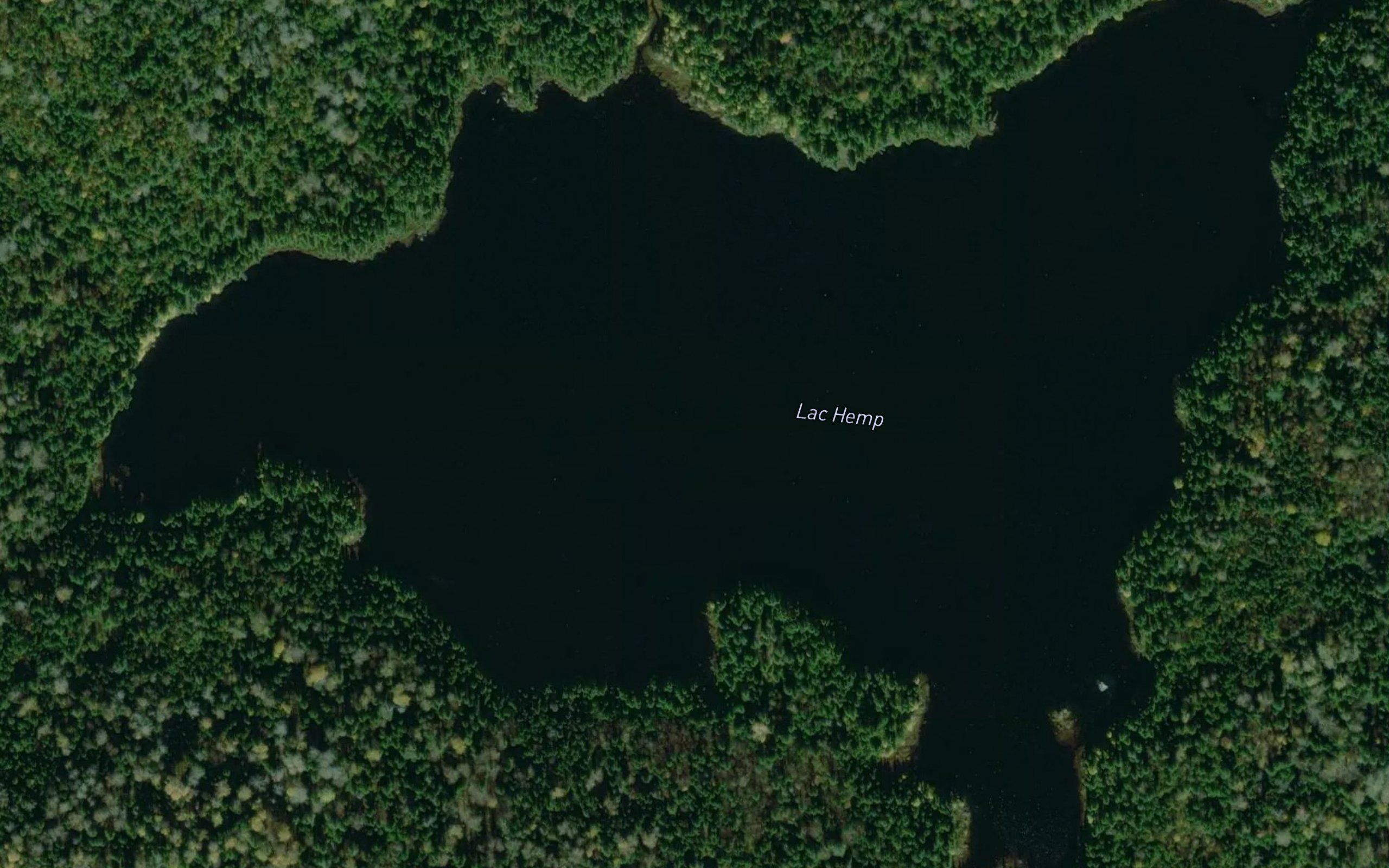 Lac Hemp