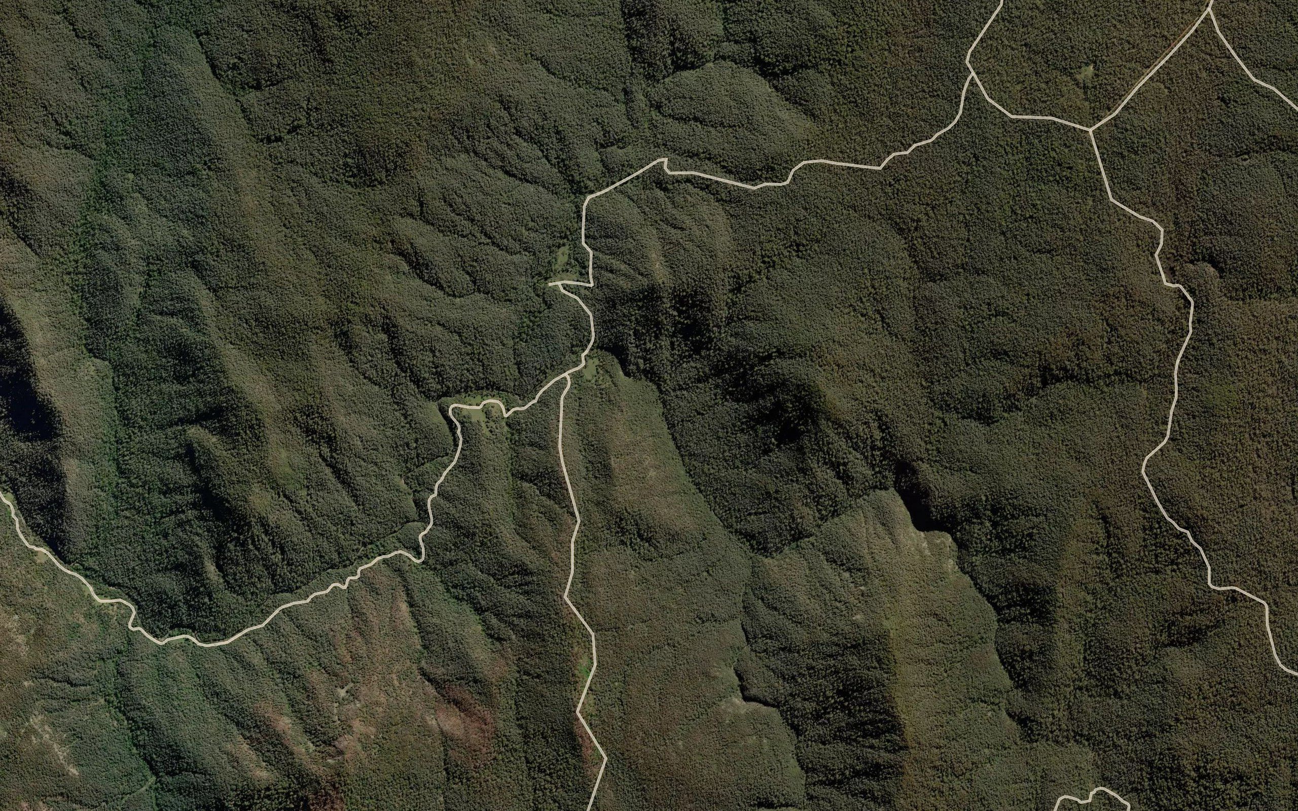 Ottos Gully