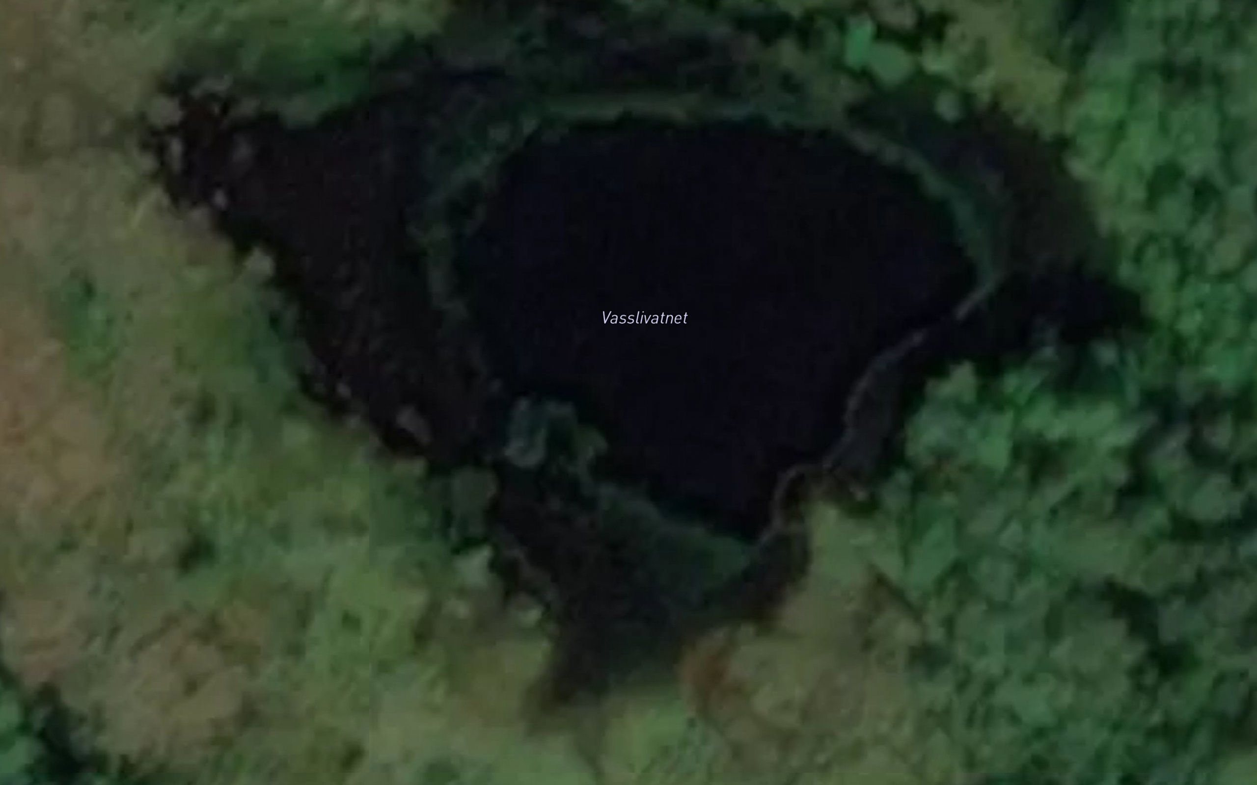 Vasslivatnet