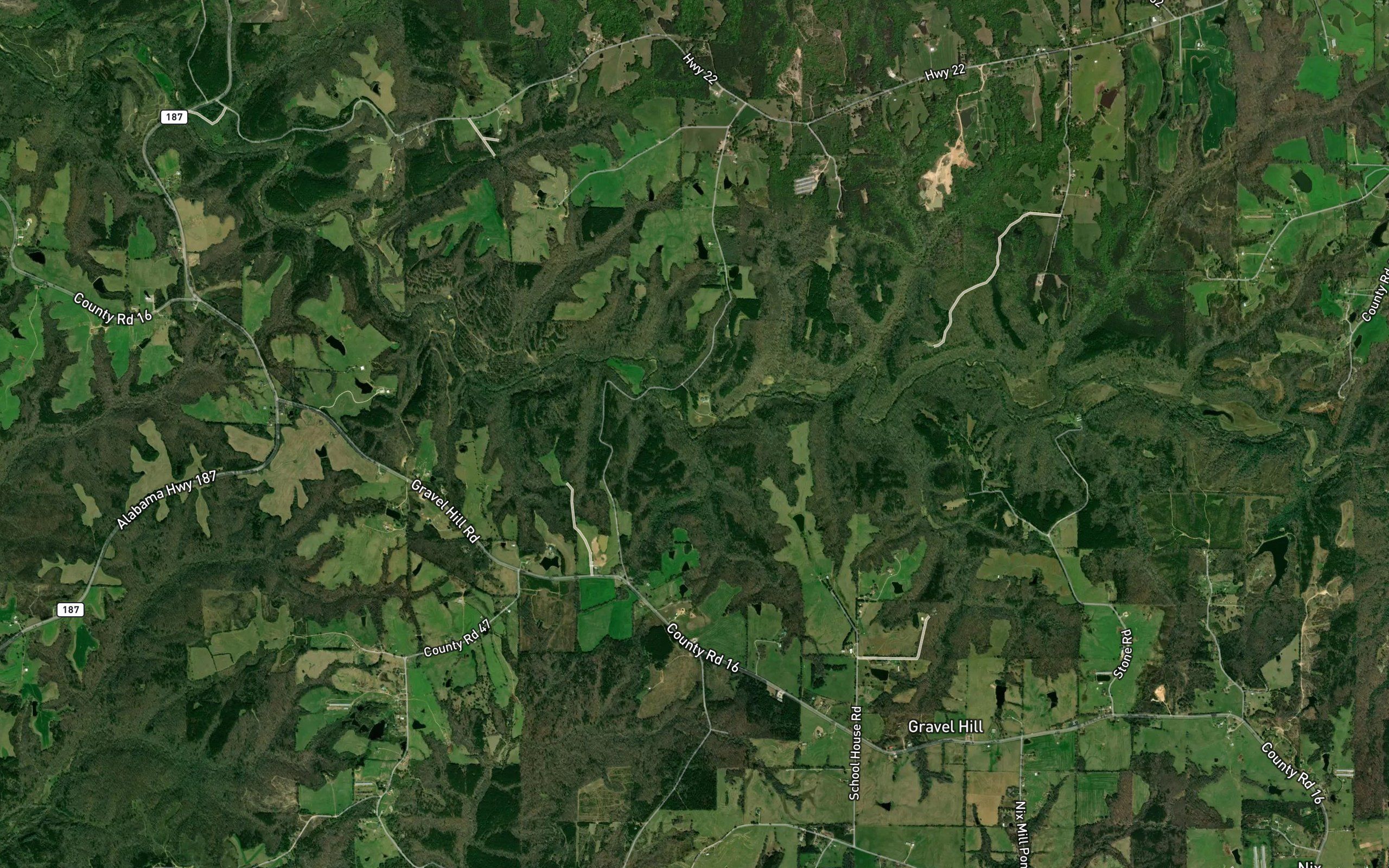 Strickland Branch