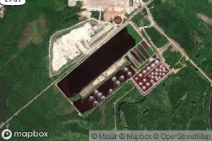 Container Corporation Treatment P