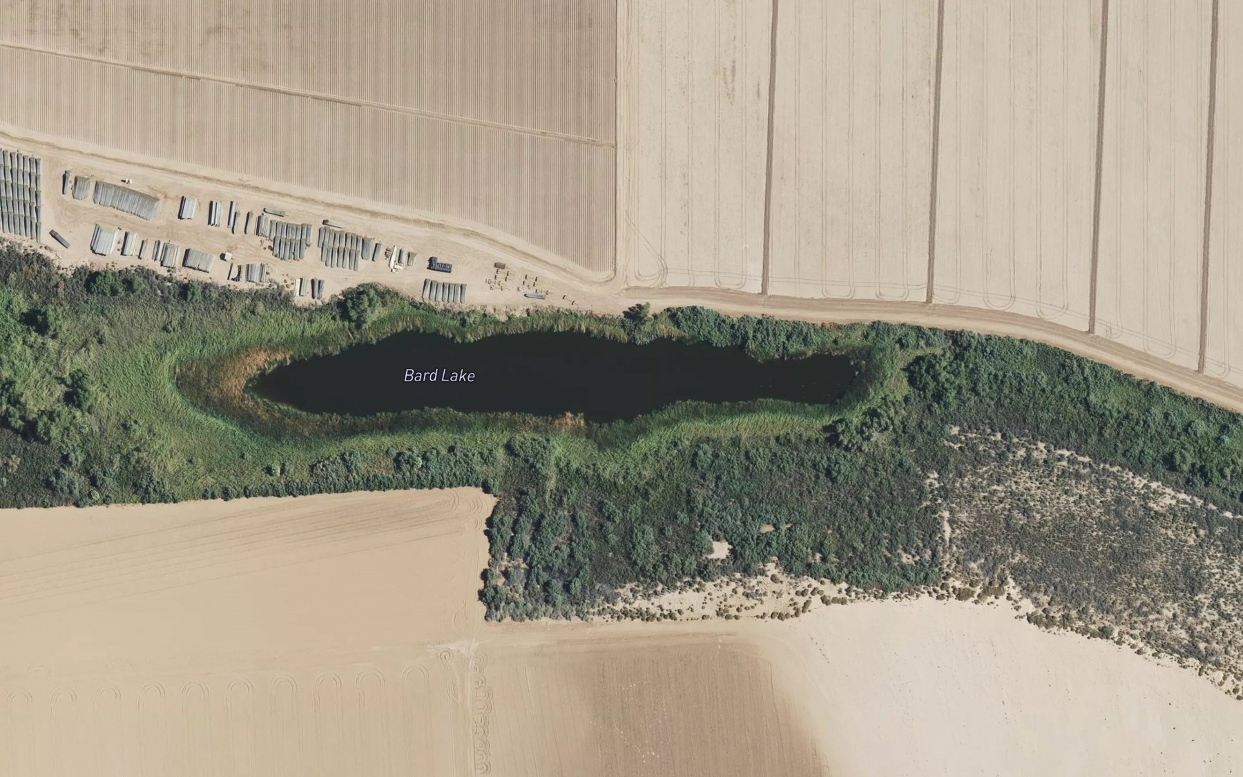 Satellite map of the Bard Lake