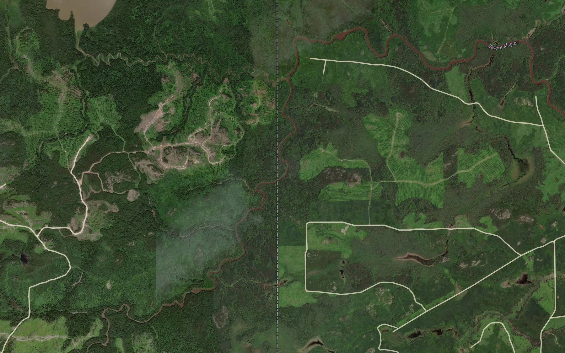 Satellite map of the Magusi River