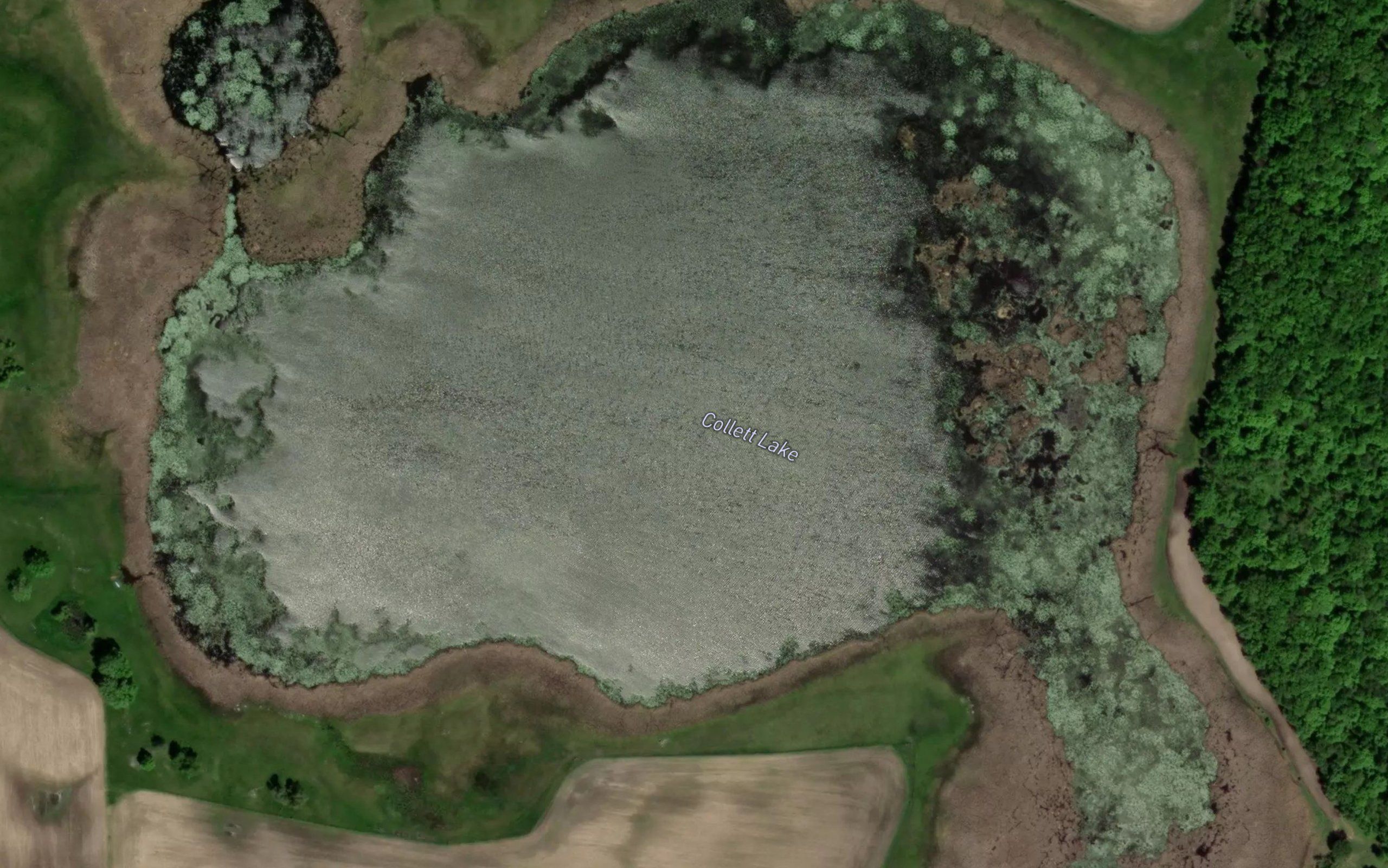 Collett Lake