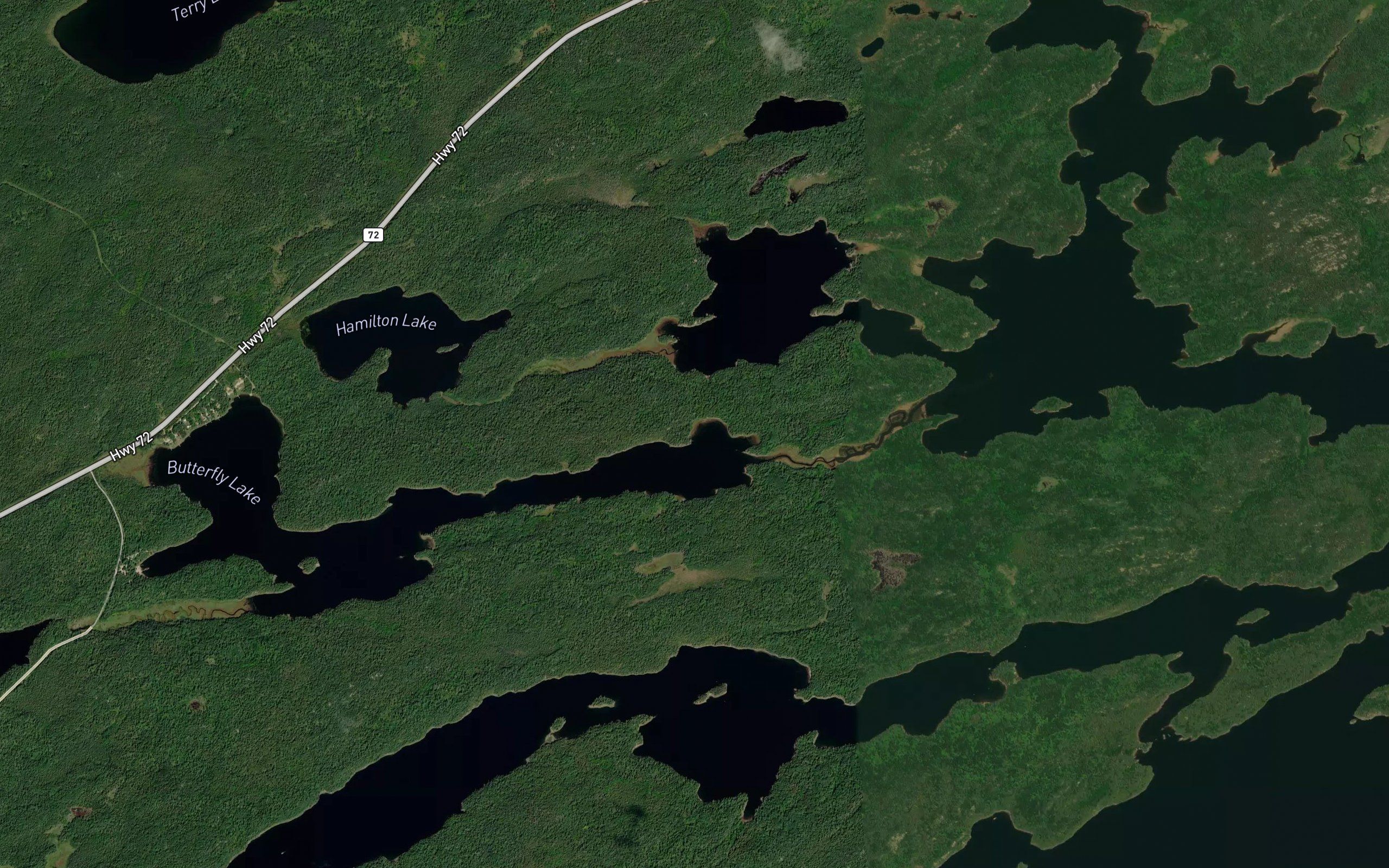 Lyons Bay