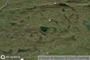 Bergtjorna