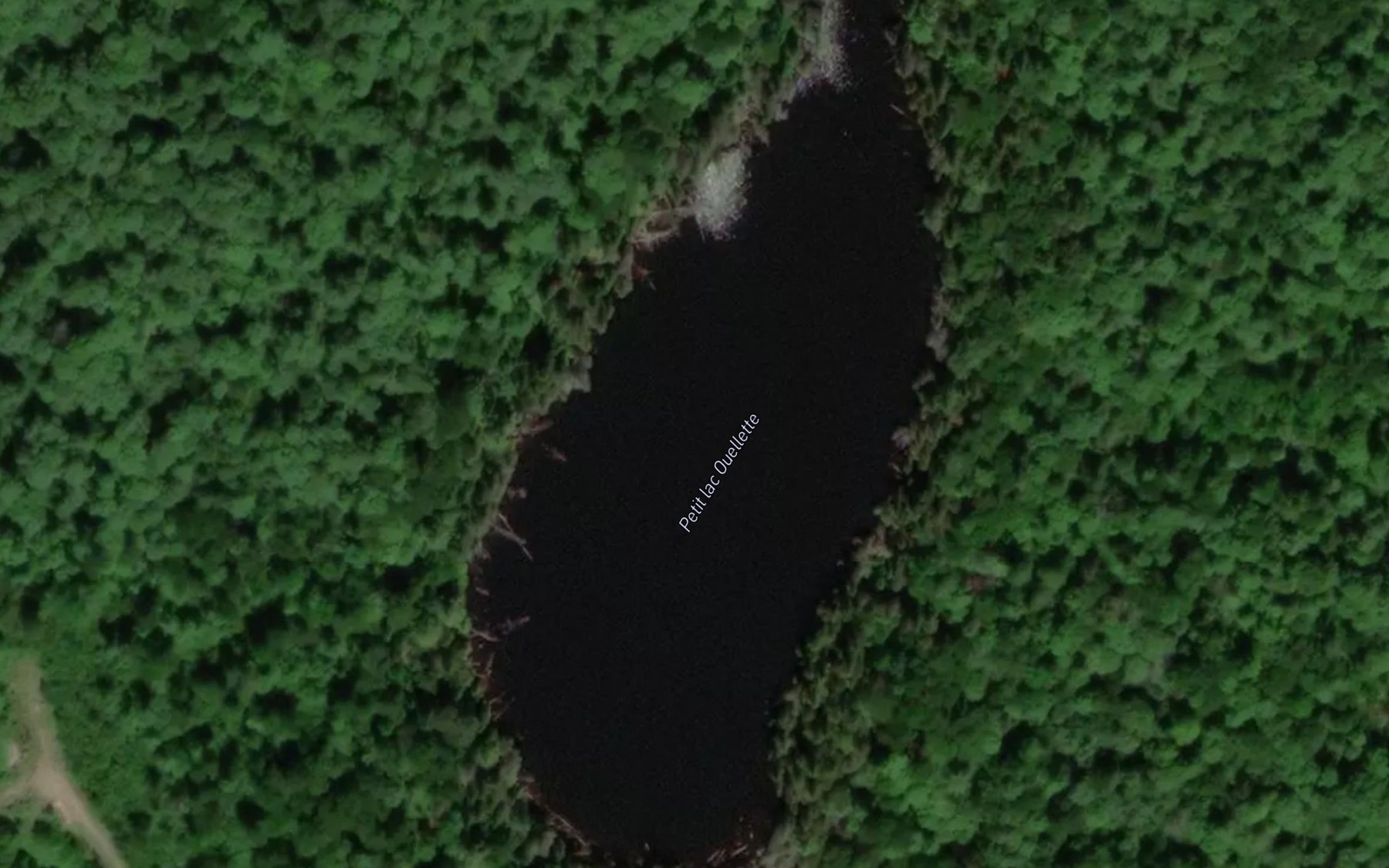 Satellite map of the Petit lac Ouellette