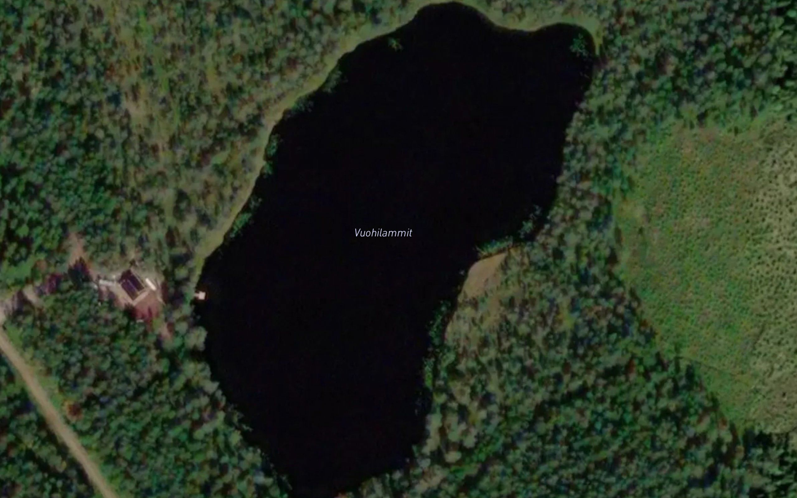 Vuohilammit