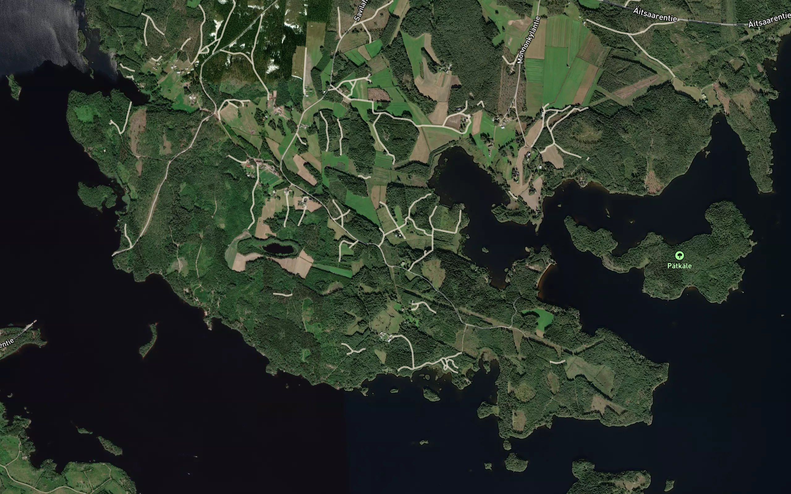 Lotteikkooja