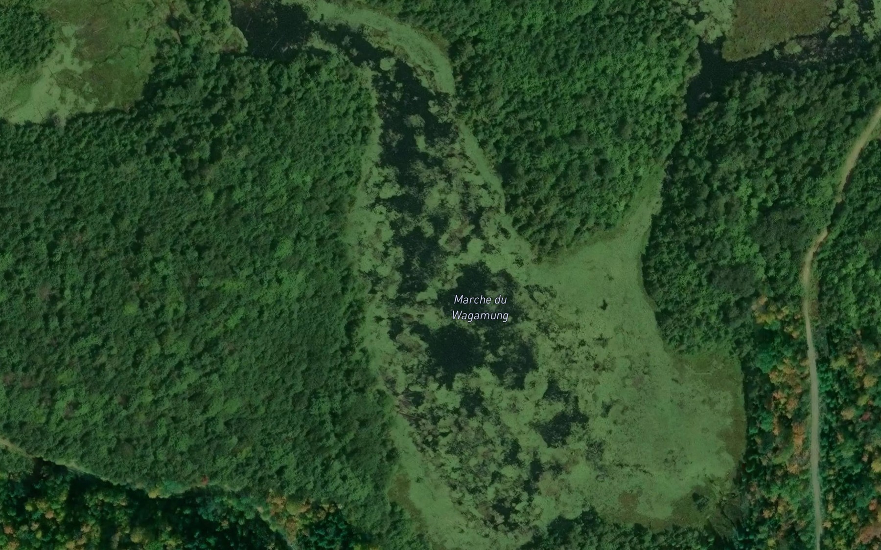 Satellite map of the Marche du Wagamung