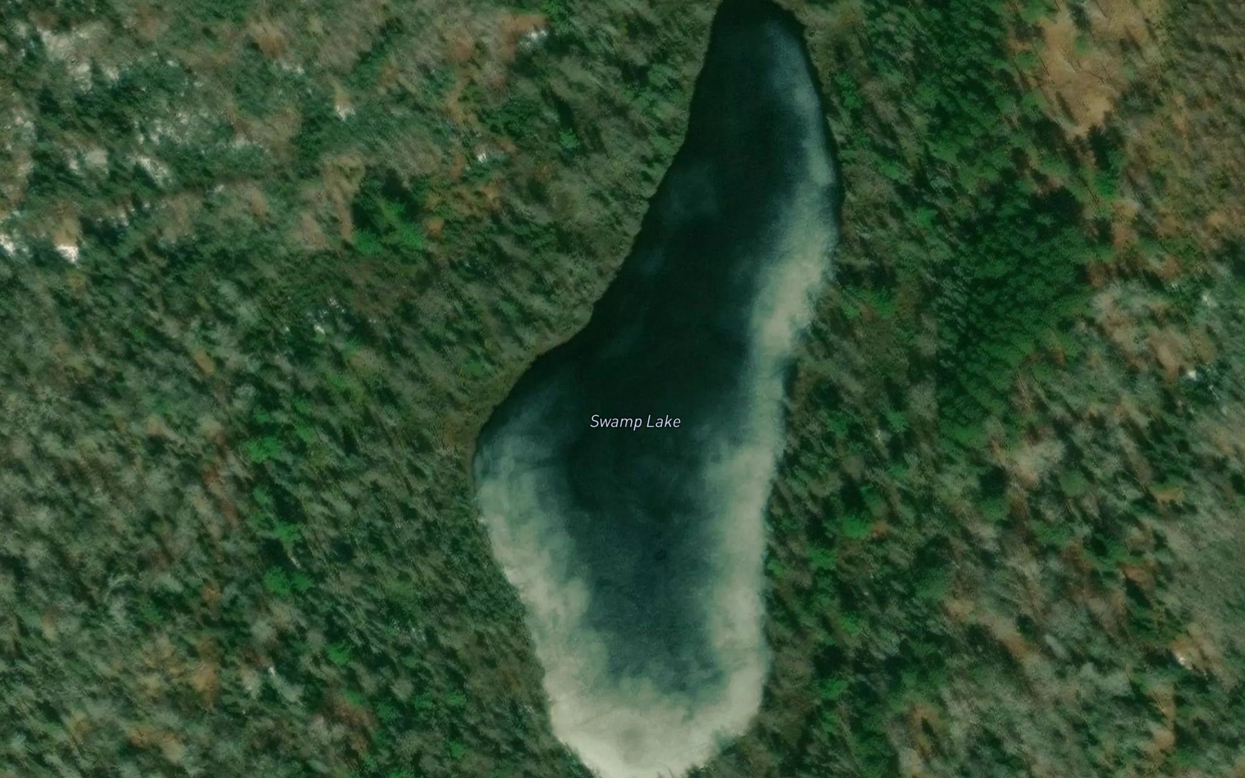 Satellite map of the Swamp Lake
