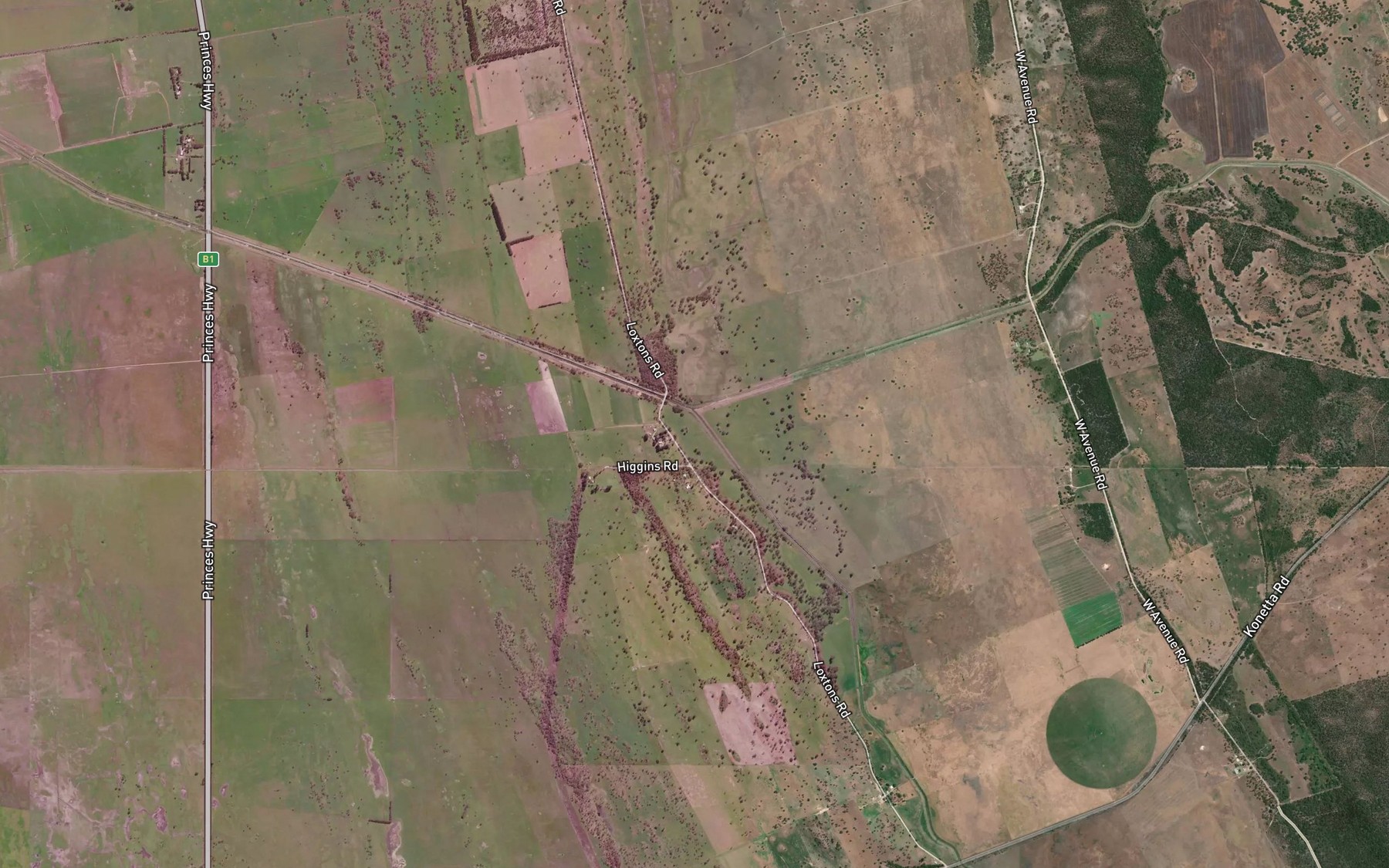 Satellite map of the Reedy Creek