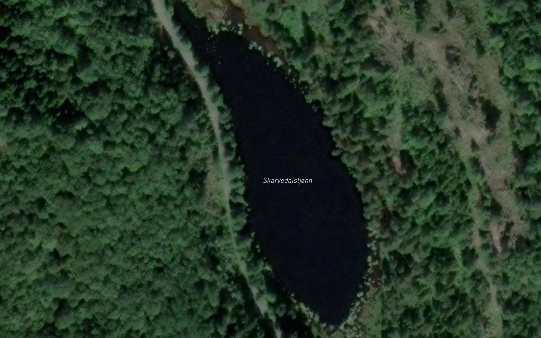 Satellite map of the Skarvedalstjonn